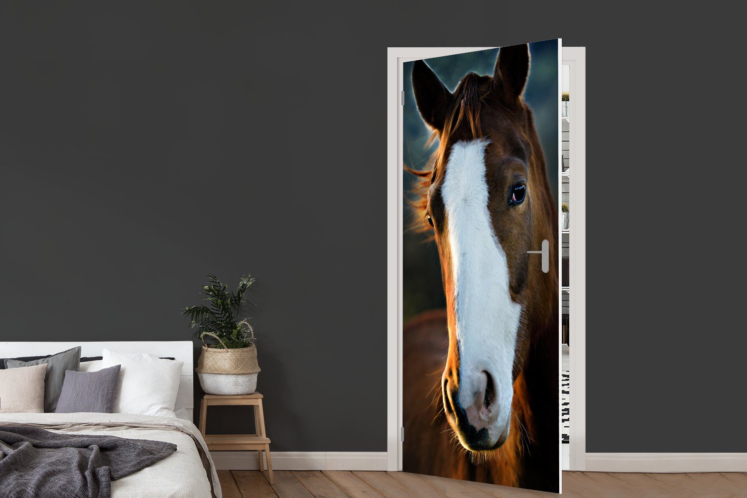 Türtapete - Pferd für MuchoWow cm Tür, (1 Kopf - Türaufkleber, Licht, Matt, 75x205 St), Fototapete bedruckt,