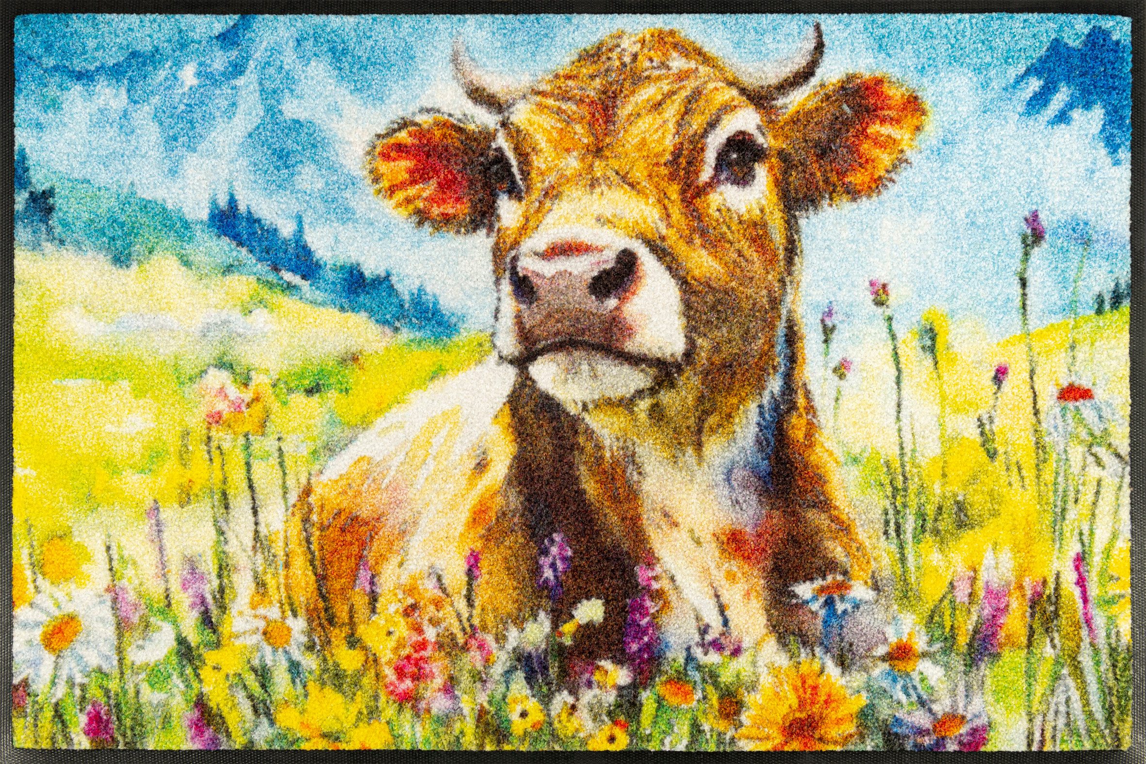 wash+dry by Kleen-Tex Fußmatte Lotti, rechteckig, Höhe: 7 mm, waschbar und günstig online kaufen