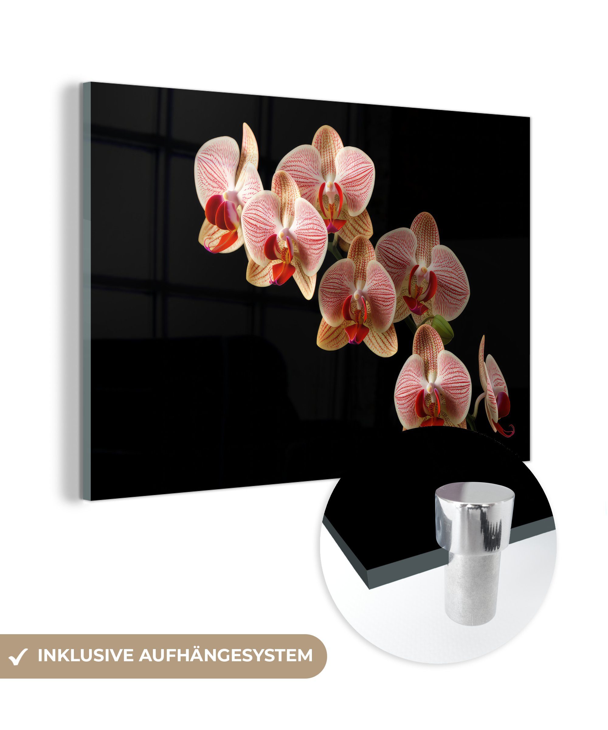 MuchoWow Acrylglasbild Blumen - Orchidee - Rosa - Botanisch - Natur, (1 St), Glasbilder - Bilder auf Glas Wandbild - Foto auf Glas - Wanddekoration
