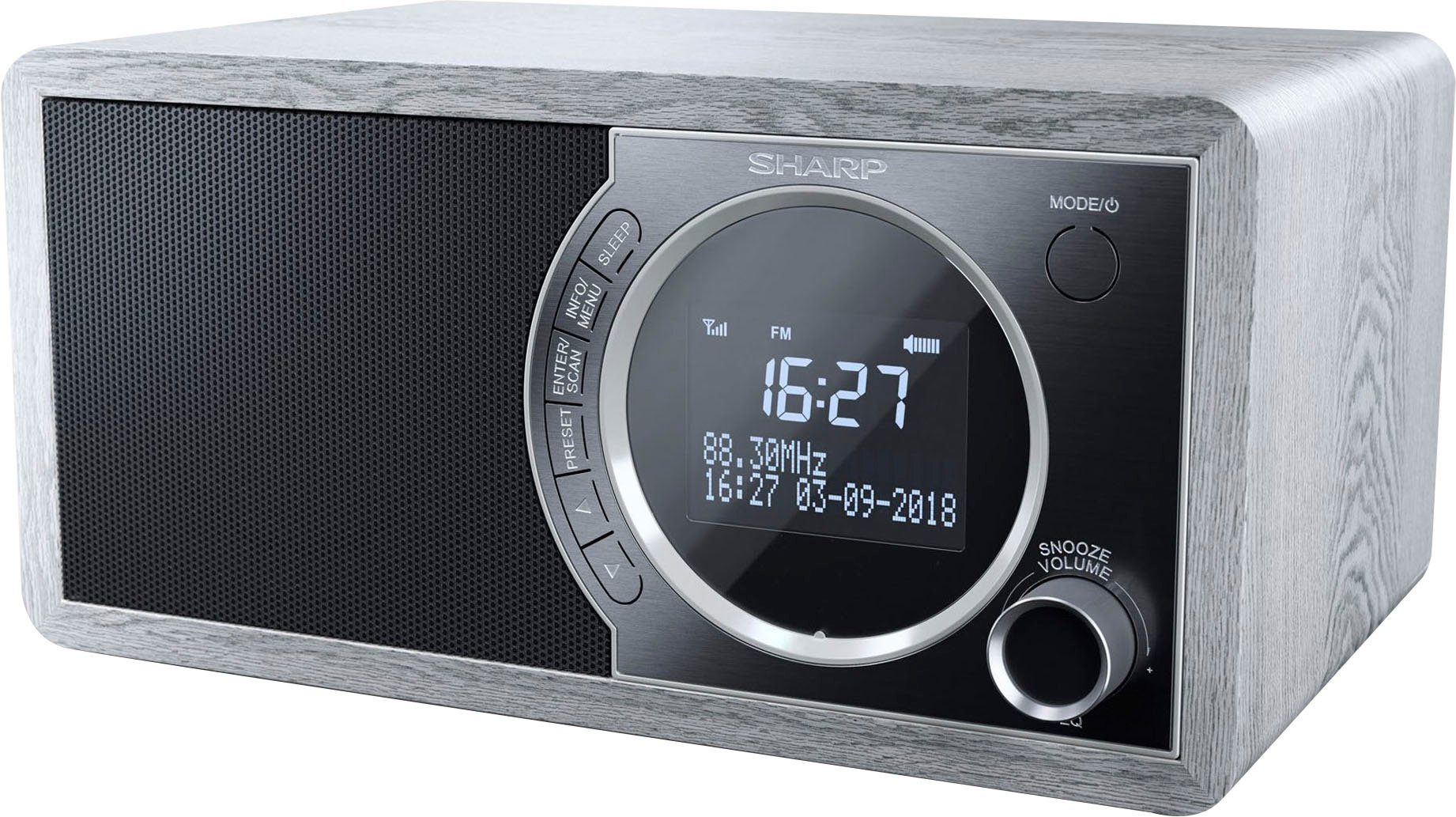 Sharp DR-450 Digitalradio (DAB) (Digitalradio (DAB), Automatische Senderverfolgung, FM-Tuner mit RDS, 6 W)