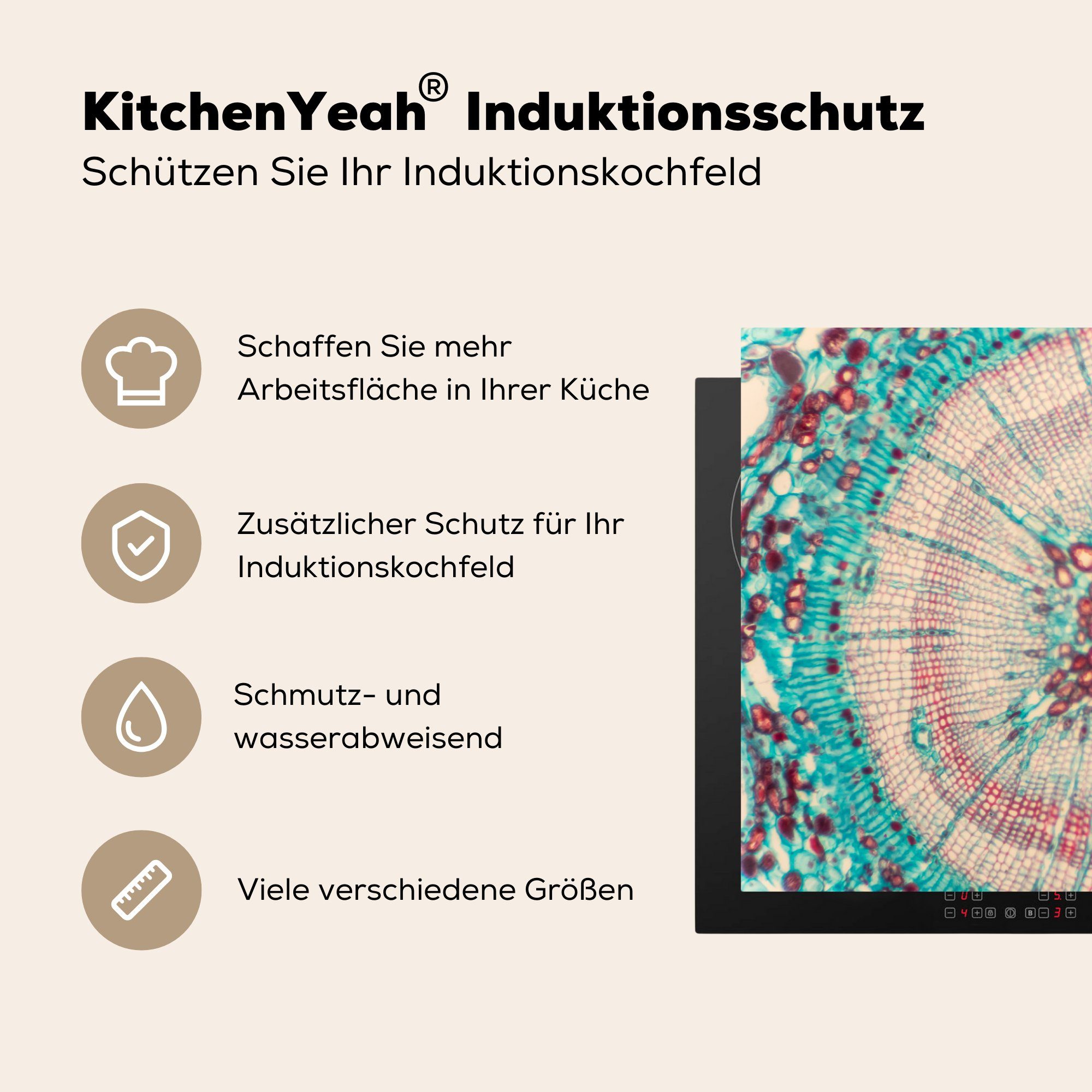 (1 tlg), Schutz Vinyl, die - cm, Blau Ceranfeldabdeckung Rot, küche, für 81x52 Kreis Herdblende-/Abdeckplatte Induktionskochfeld - MuchoWow