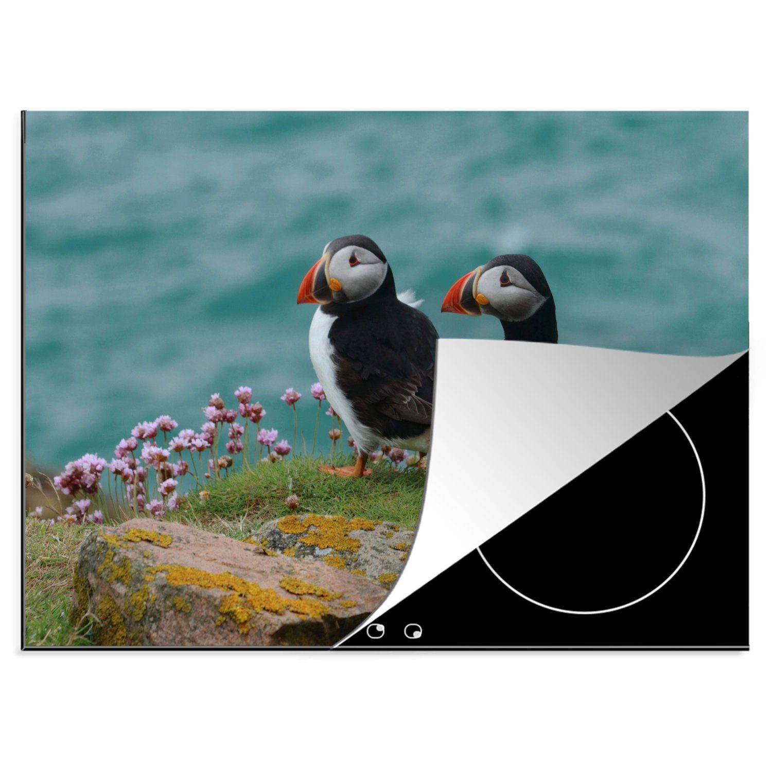MuchoWow Herdblende-/Abdeckplatte Zwei Papageientaucher auf den Klippen am Meer, Vinyl, (1 tlg), 70x52 cm, Mobile Arbeitsfläche nutzbar, Ceranfeldabdeckung