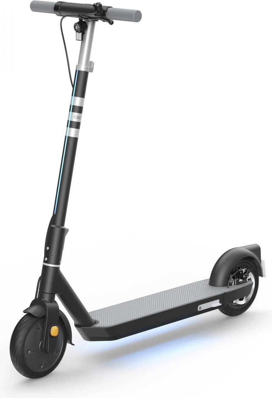 E-Scooter Elektro-Scooter mit Straßenzulassung – 600W Motor, 40 km Reichweite