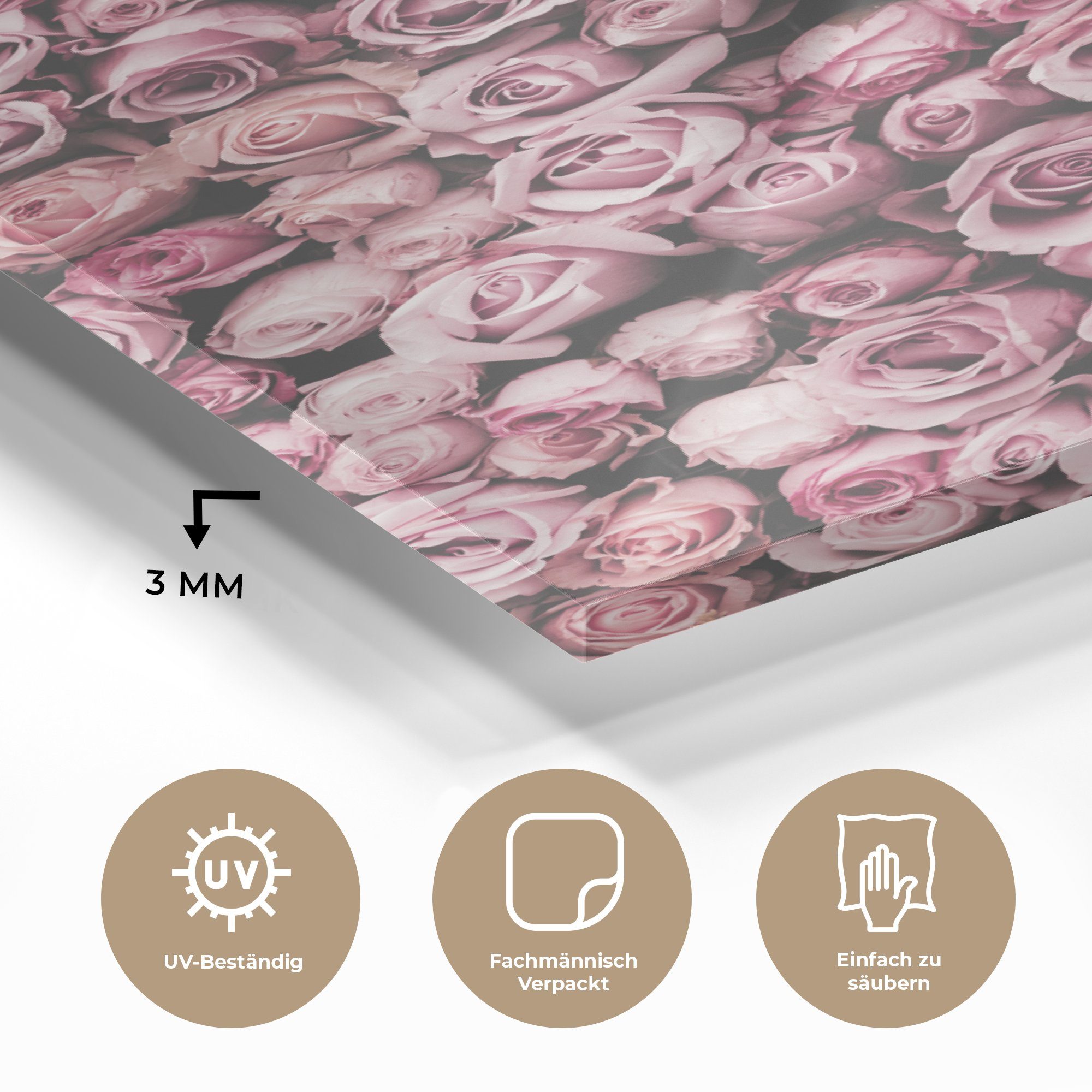 MuchoWow Acrylglasbild Blumen - Rosen - Natur - Rosa - Botanisch, Inkl. Aufhängung, Dekorative Bild für Küche & Wohnzimmer auf Glas, 20x30 cm