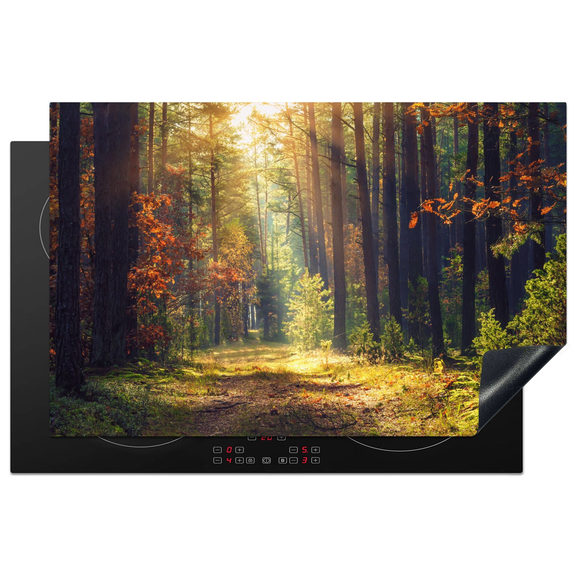 MuchoWow Herdblende-/Abdeckplatte Wald - Herbst - Bäume, Vinyl, (1 tlg), 81x52 cm, Induktionskochfeld Schutz für die küche, Ceranfeldabdeckung
