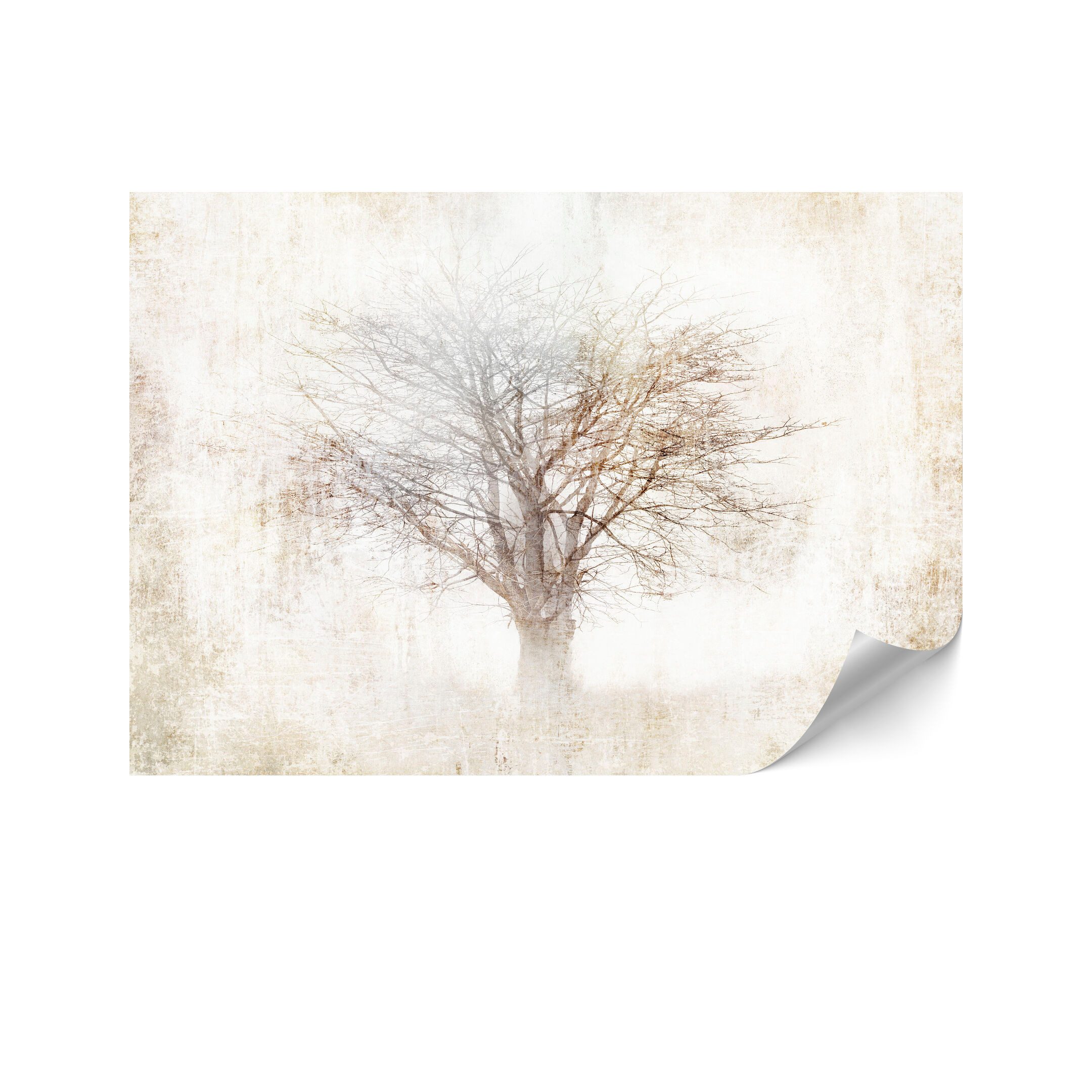 LUMASOUL Fototapete 400x280 cm - Vliestapete Shabby Chic - Beige mit Natur, Shabby Chic, Rechteckig, Nach innen, Horizontale Ausrichtung