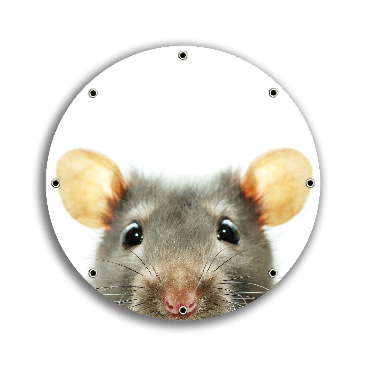 Wallario Sichtschutzzaunmatten Maus am Tellerrand, rund