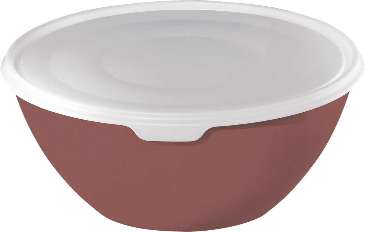 Schüssel Rotho Schüssel + Deckel Caruba, 3 l iron rot