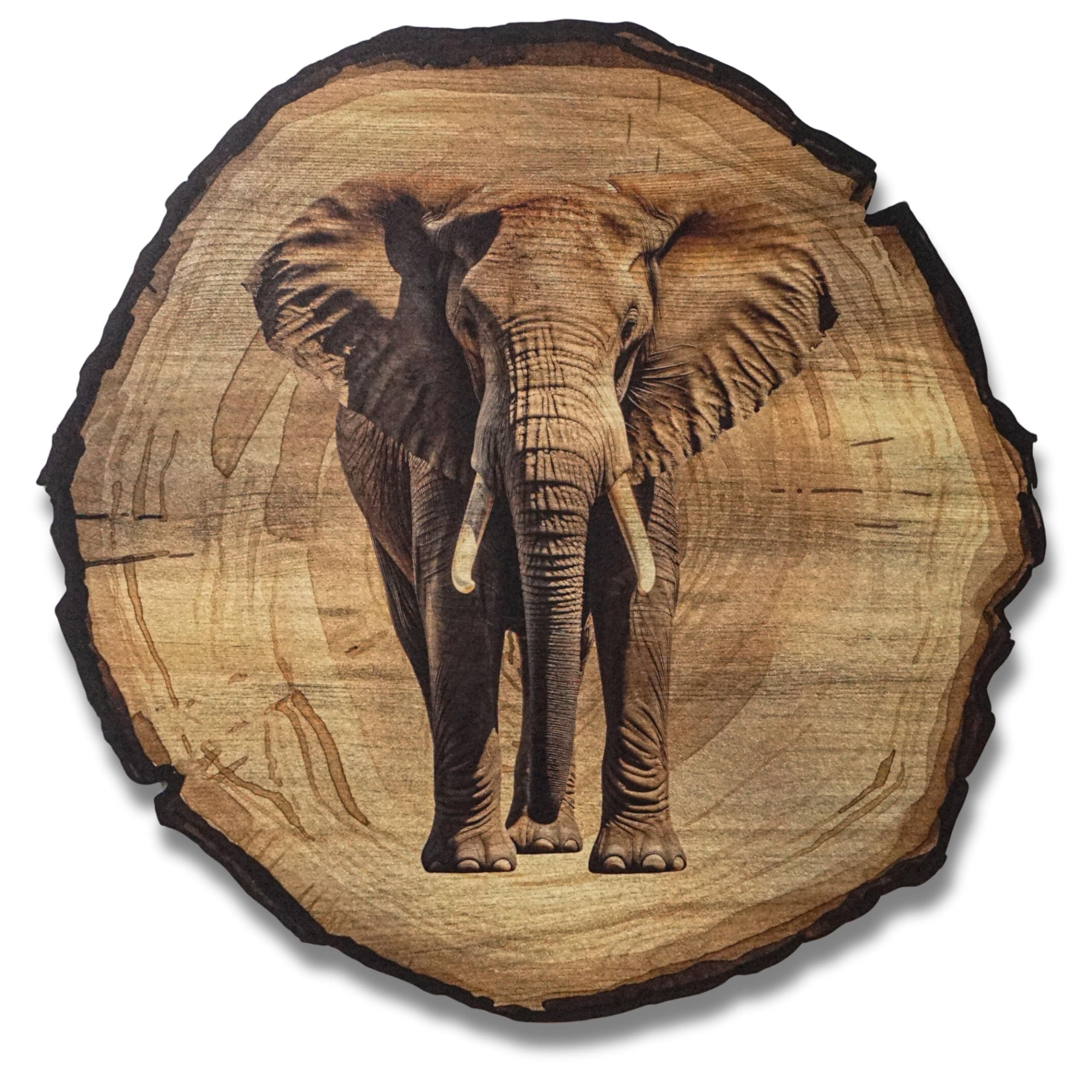 DARO Design Wandbild Wildtiere Jagd Wandbilder Wand Deko Bilder Natur, (Elefant - Bild klein Wohnzimmer Flur Arbeitszimmer Schlafzimmer Diele Einteilig Rund Fotodruck Jagd & Wildtiere), 20cm