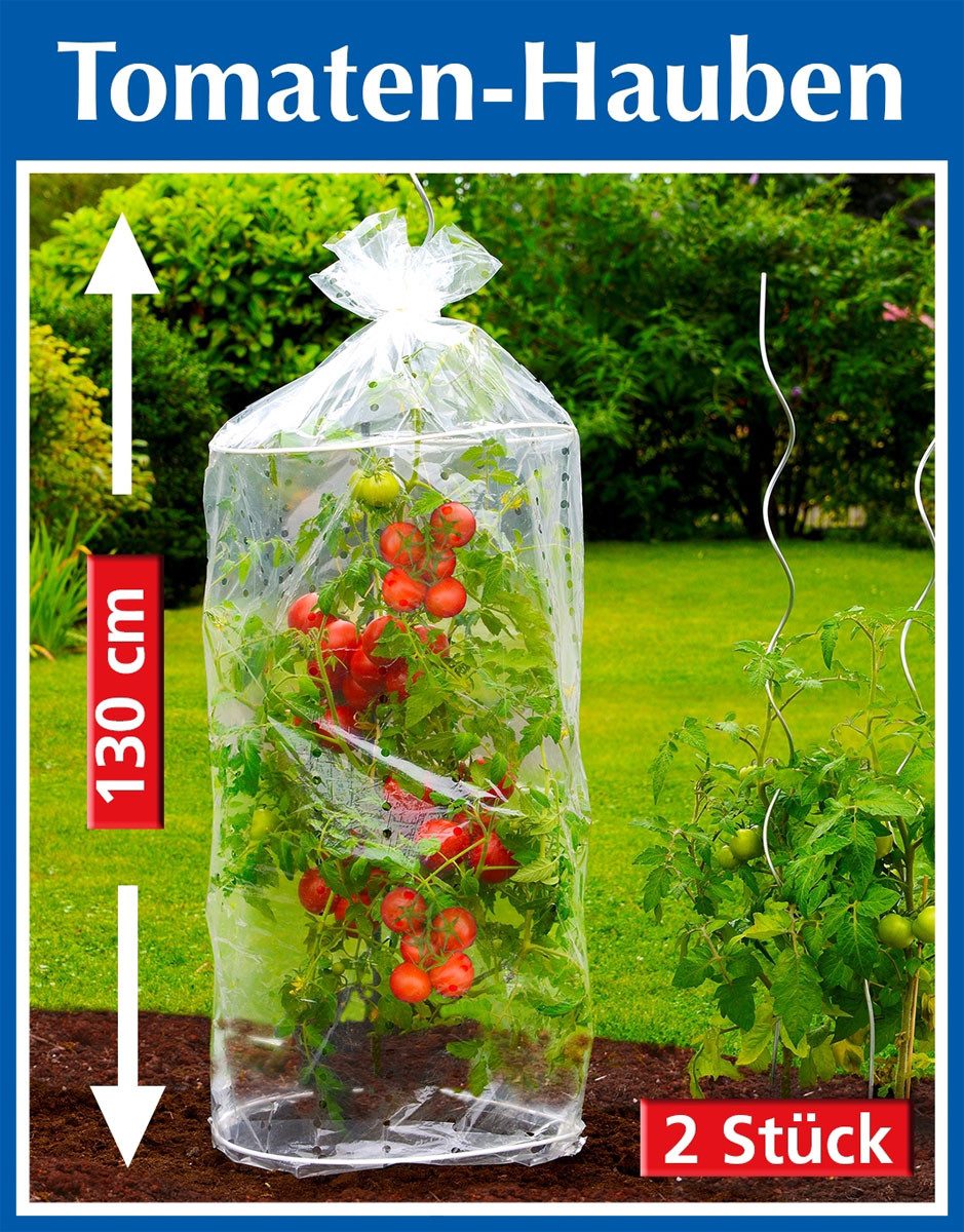 Thumbnail - Pflanzenschutzdach WENKO Tomatenhaube [2 Stück] Tomatenreifhauben Schutzhaube für Gemüse