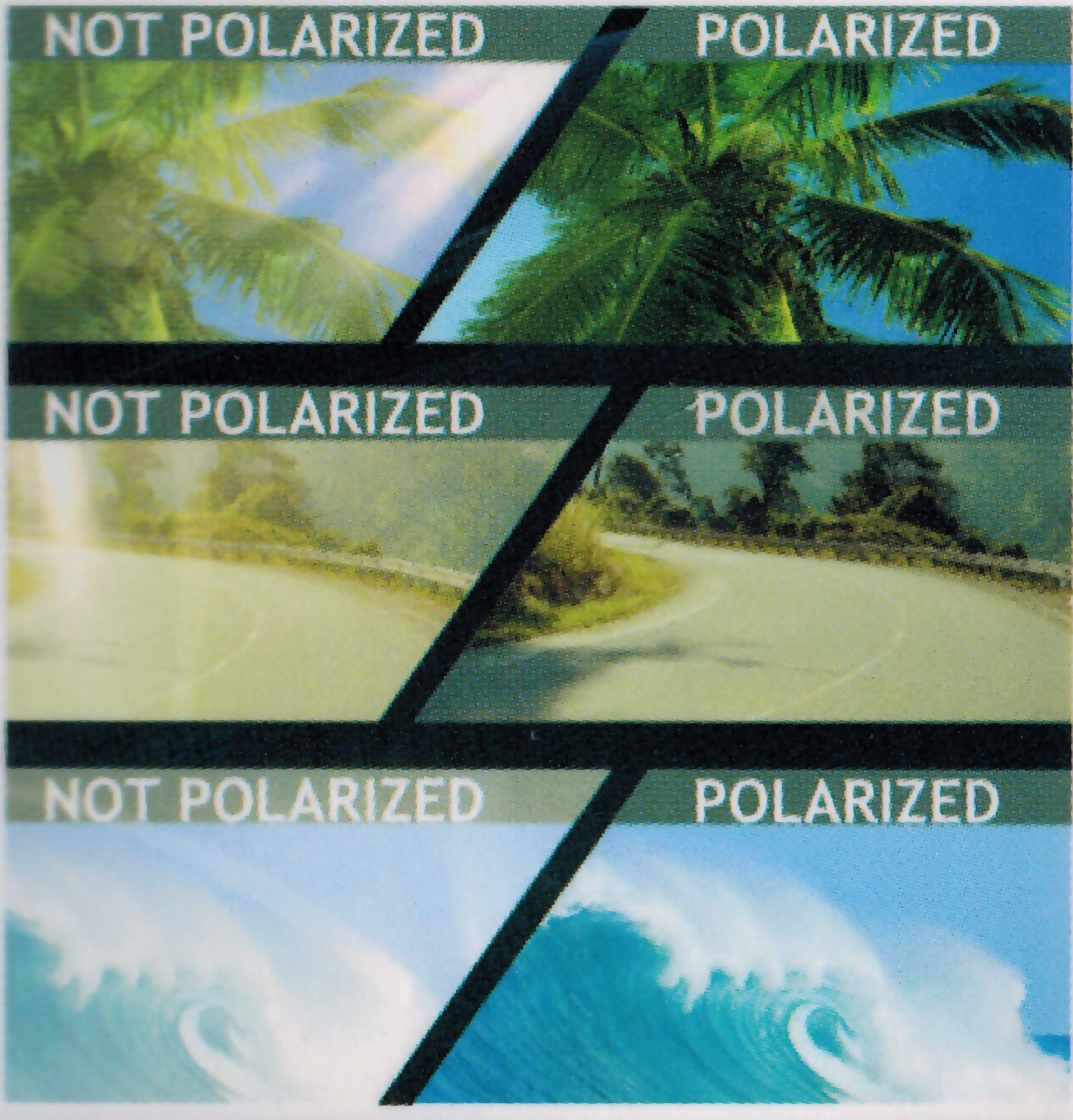 Dunlop Fahrradbrille AUTOBRILLE Magnet Etui Polarisationsbrille Polarisiert günstig online kaufen