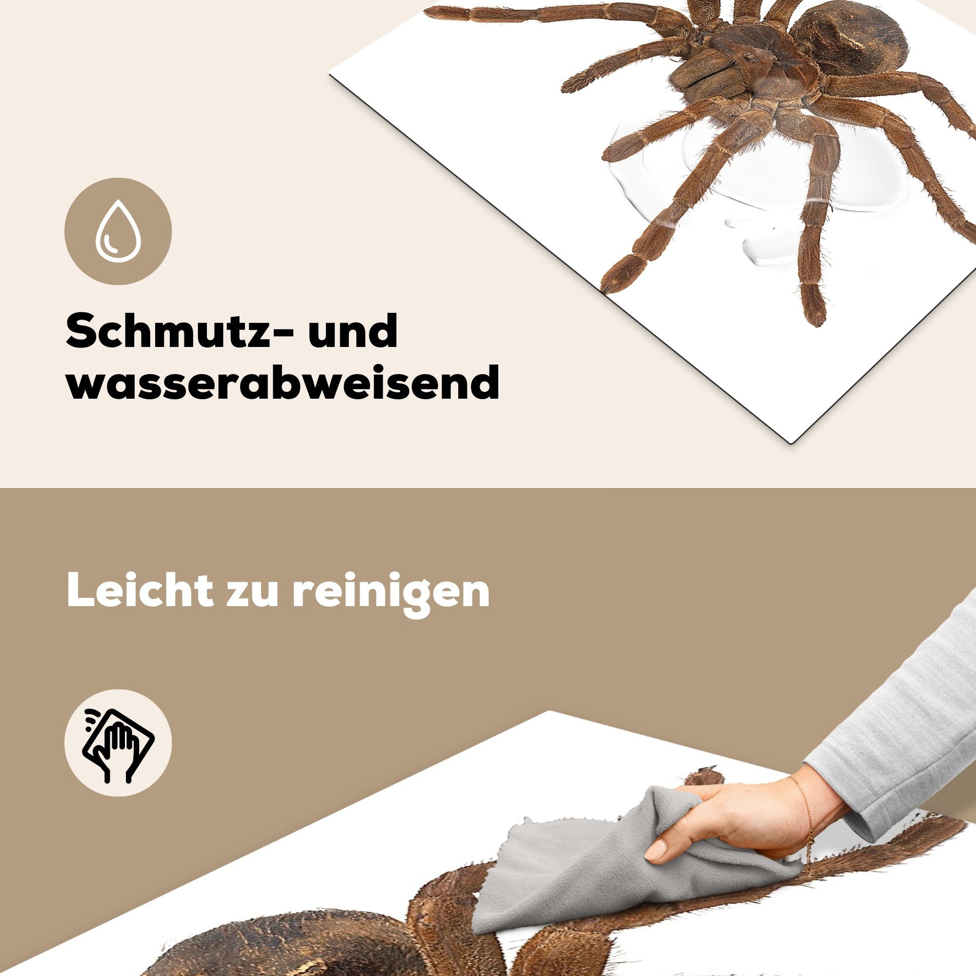 Vogelspinne, Ceranfeldabdeckung Induktionskochfeld 71x52 Schutz cm, die tlg), Herdblende-/Abdeckplatte Vinyl, MuchoWow für küche, (1