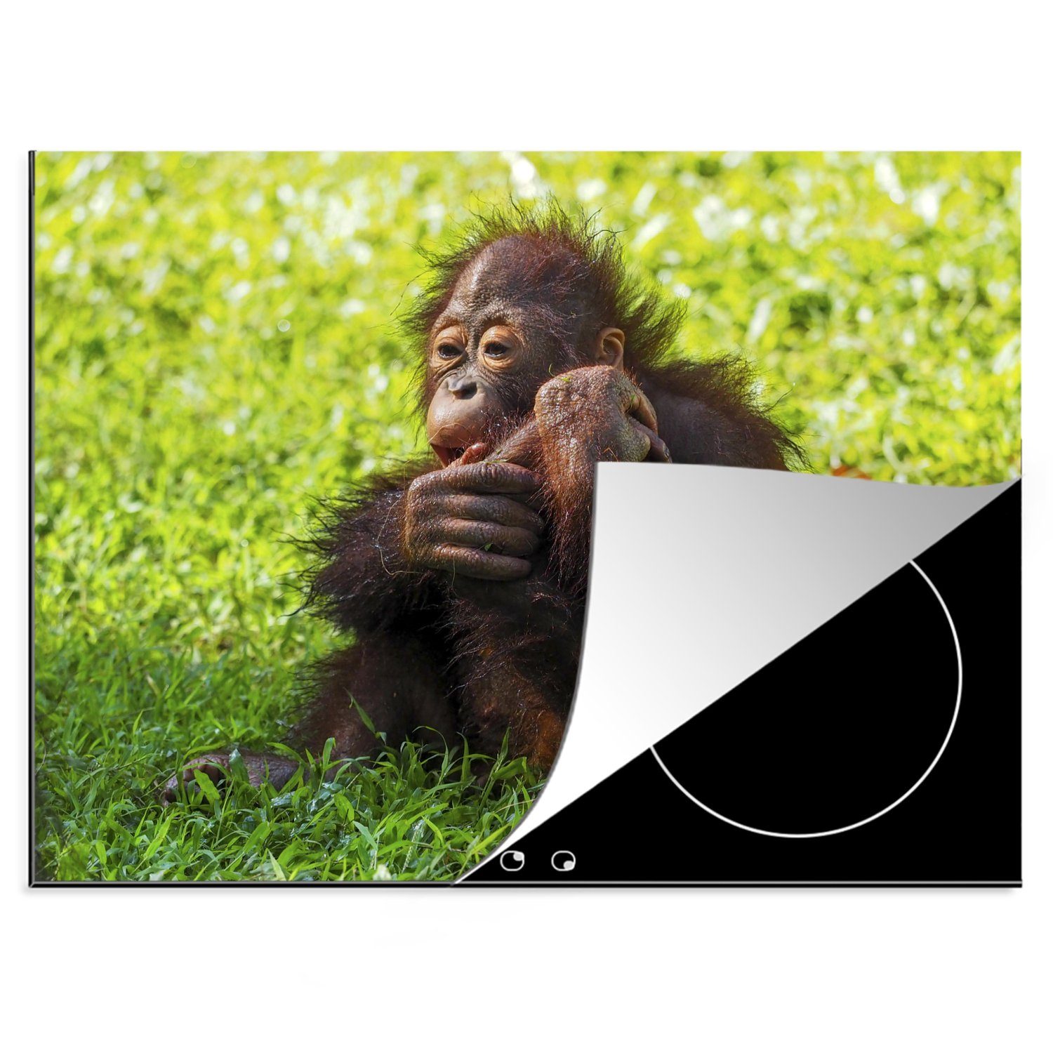MuchoWow Herdblende-/Abdeckplatte Ein kleiner Orang-Utan sitzt im Gras, Vinyl, (1 tlg), 70x52 cm, Mobile Arbeitsfläche nutzbar, Ceranfeldabdeckung