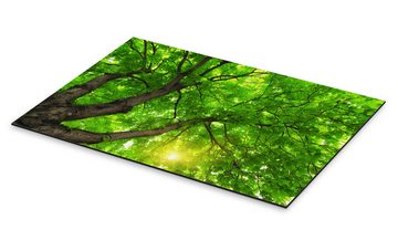 Posterlounge Alu-Dibond-Druck Editors Choice, Unter einem großen grünen Baum, Fotografie