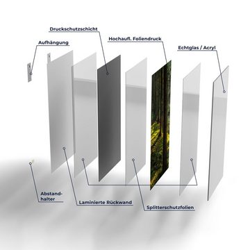 DEQORI Glasbild 'Licht durchbricht Bäume', 'Licht durchbricht Bäume', Glas Wandbild Bild schwebend modern