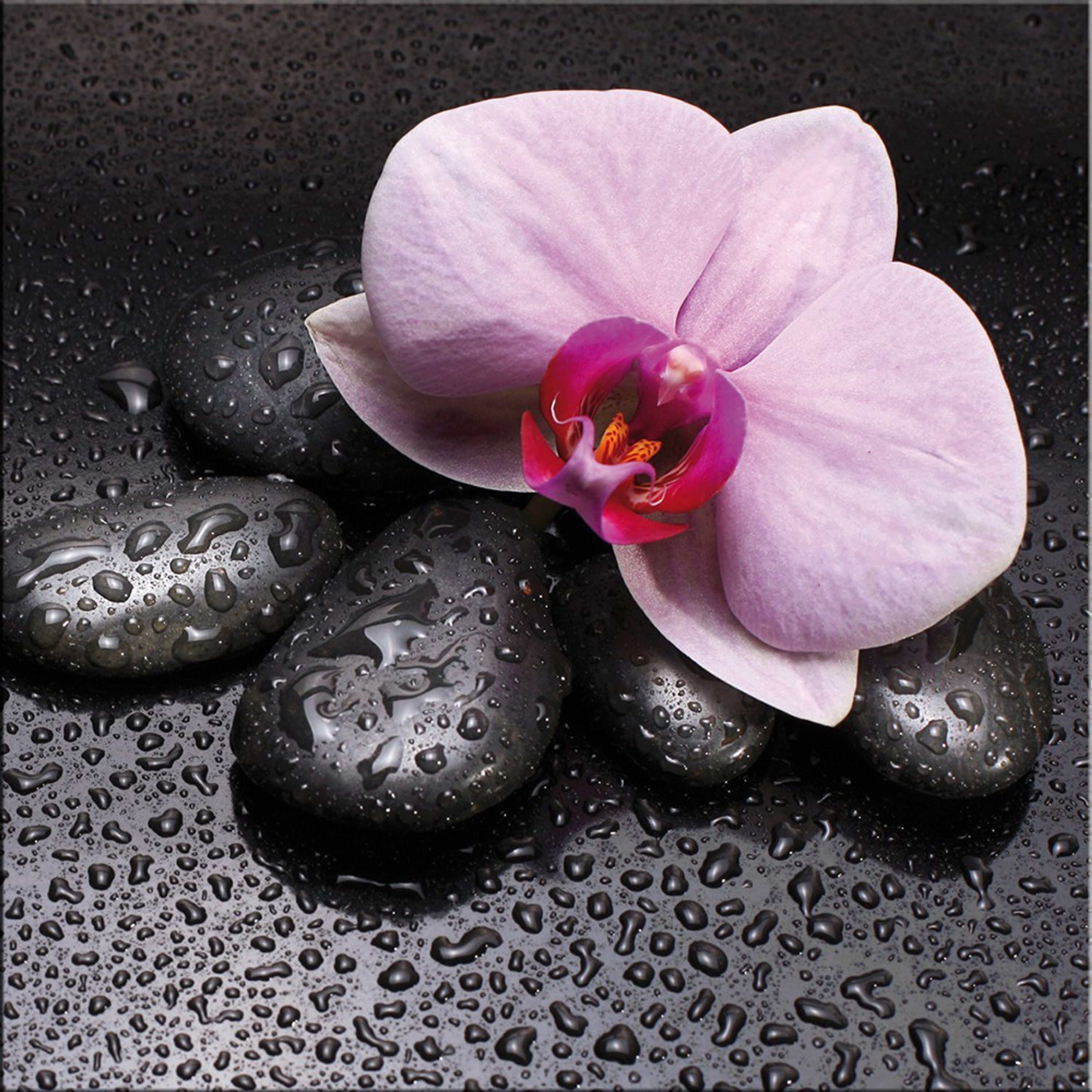 artissimo Wellness Blumen Glasbild und Glasbild Bild 30x30cm Zen Steine Orchidee, Steine