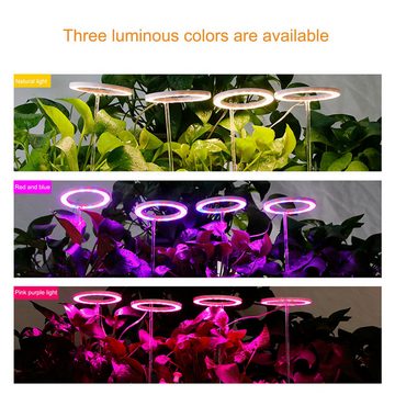 Jioson Pflanzenlampe 4 Ring Vollspektrum Pflanzenlampe 80LEDs mit Timer (Rot und Blau), 5 Helligkeitsstufen, Dimmbar lampe für Pflanzen Indoor Gewächshaus