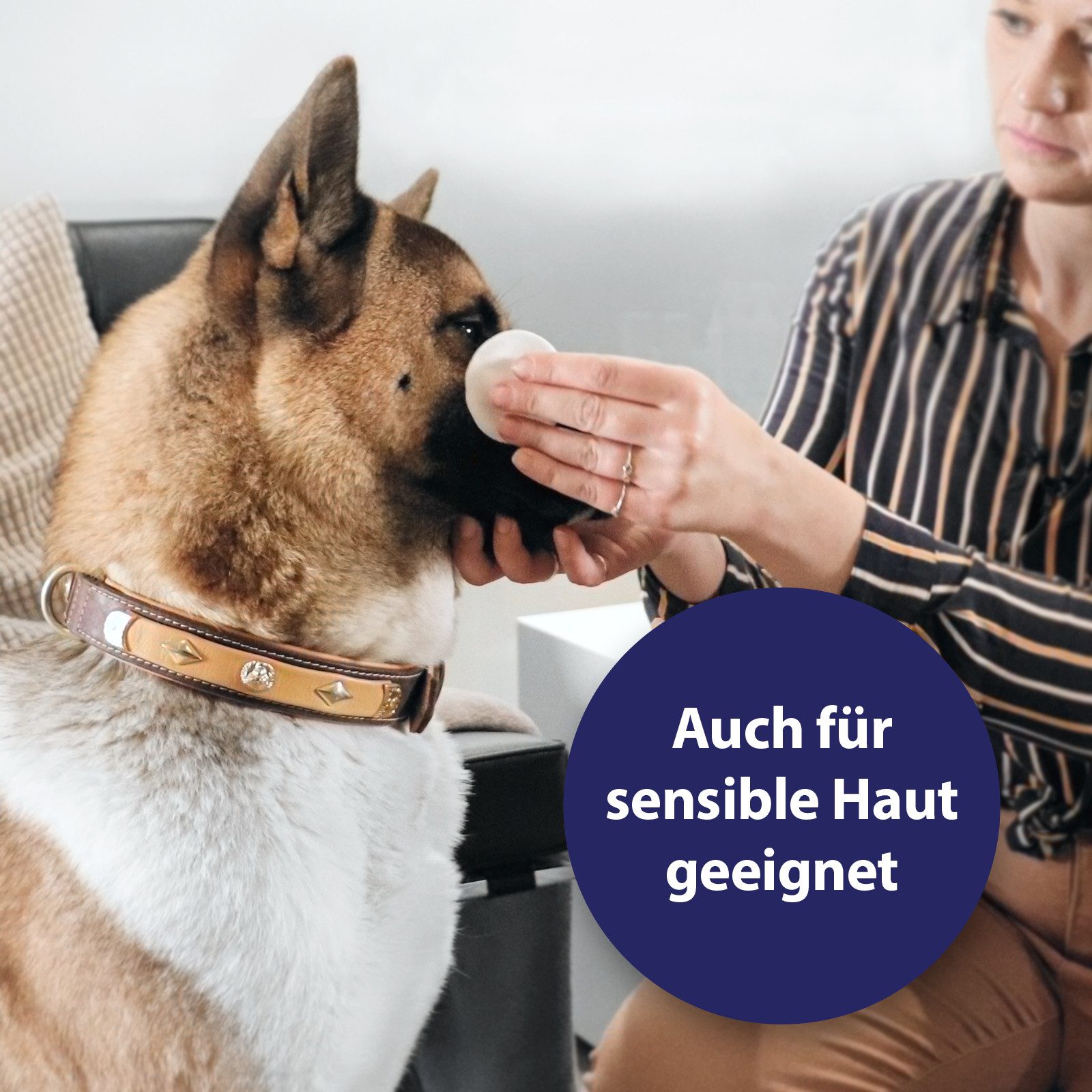 Canosept Fellpflege Canosept Augenpflege und Tränensteinentferner für Hunde 120 ml