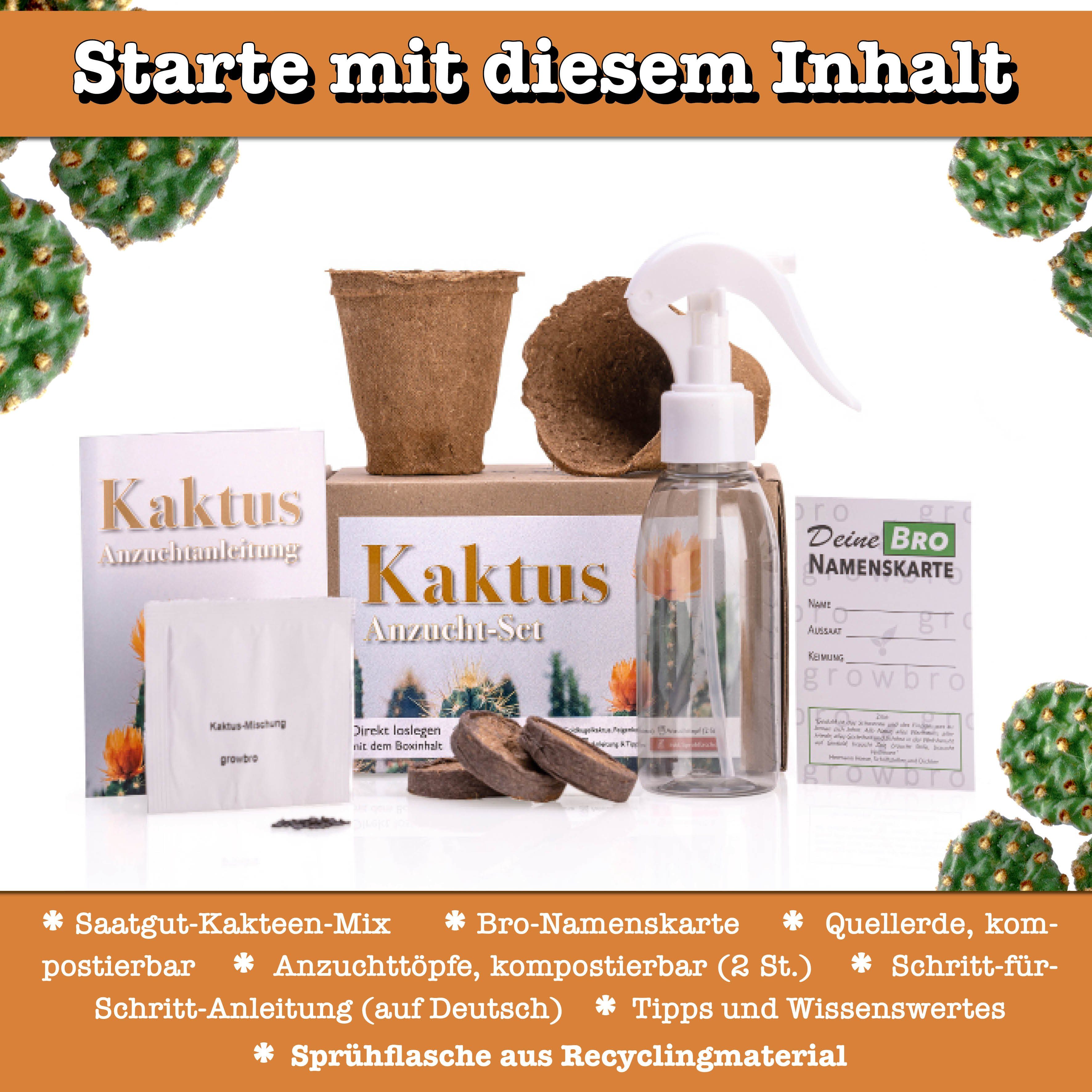 Kunstkaktus KAKTUS Anzuchtset inkl. Sprühflasche PERFEKTES günstig online kaufen