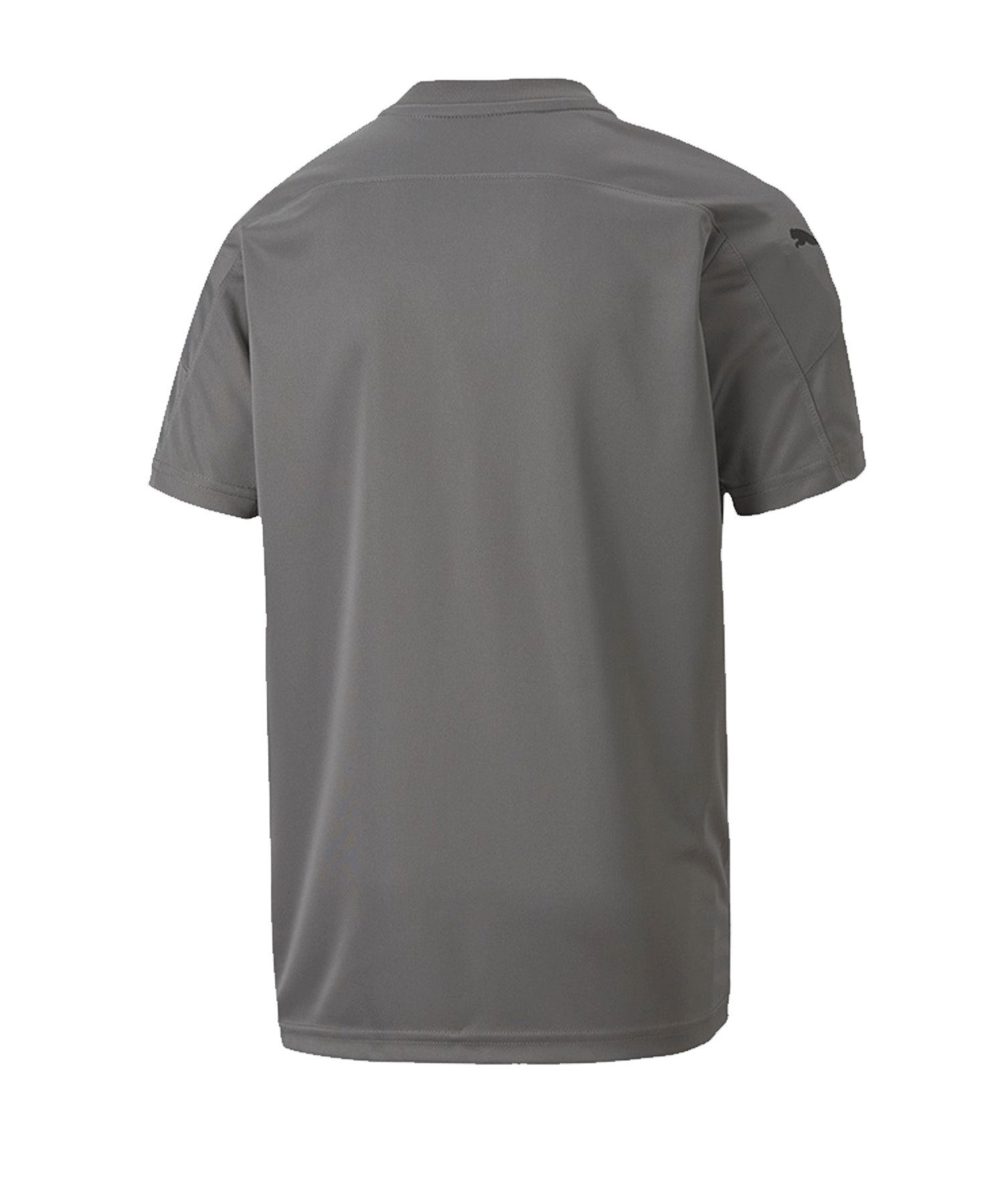 PUMA Fußballtrikot PUMA teamFINAL 21 Graphic günstig online kaufen