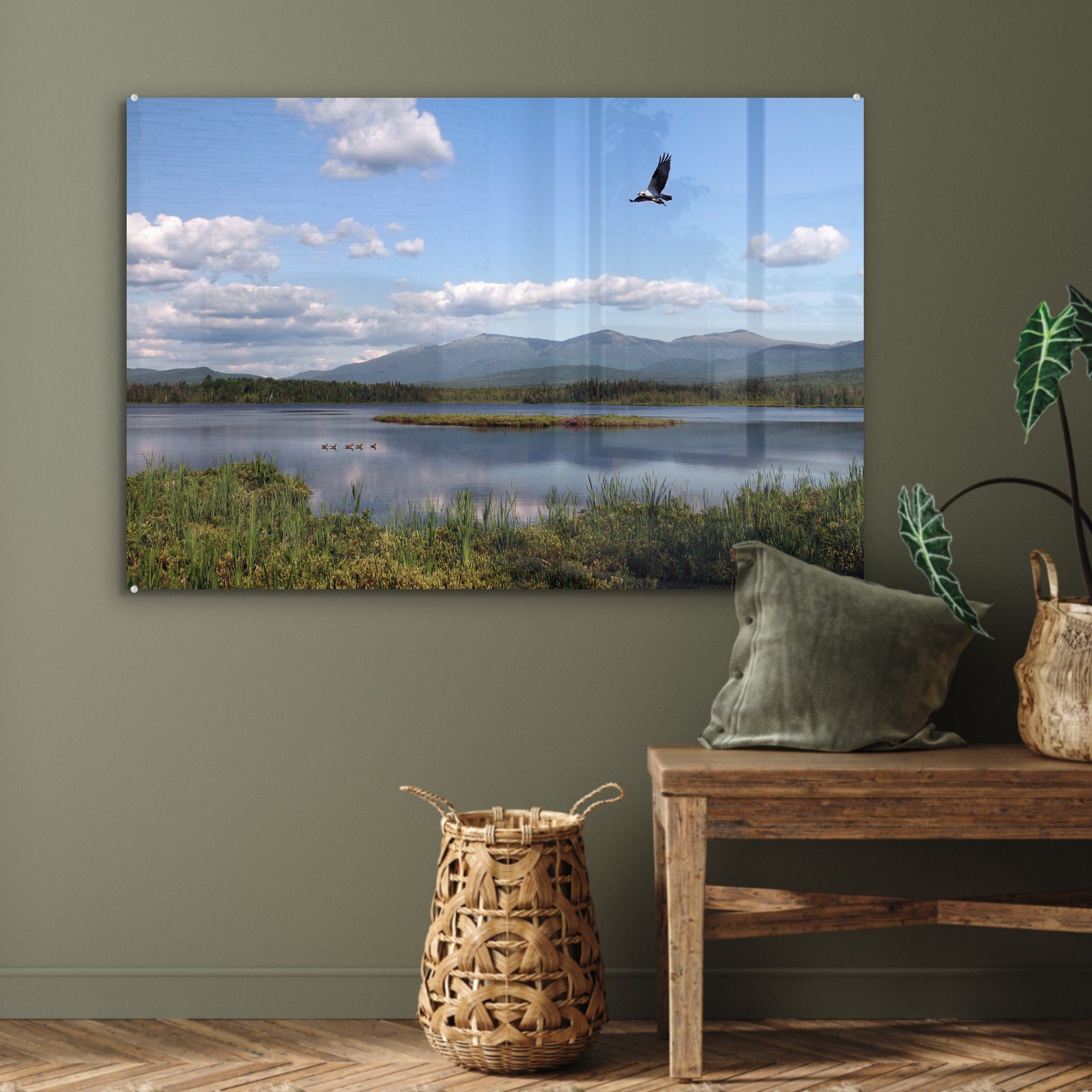 New Acrylglasbild mit in (1 Acrylglasbilder über Hampshire, St), See Vogel Beute MuchoWow Wohnzimmer einem Schlafzimmer &