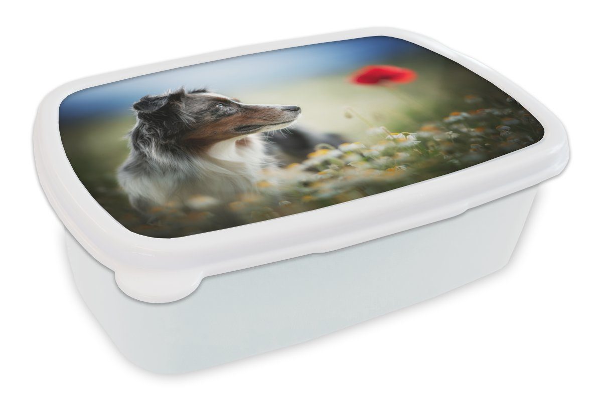 MuchoWow Lunchbox Hund - Blumen - Farben, Kunststoff, (2-tlg), Brotbox für Kinder und Erwachsene, Brotdose, für Jungs und Mädchen weiß | Lunchboxen