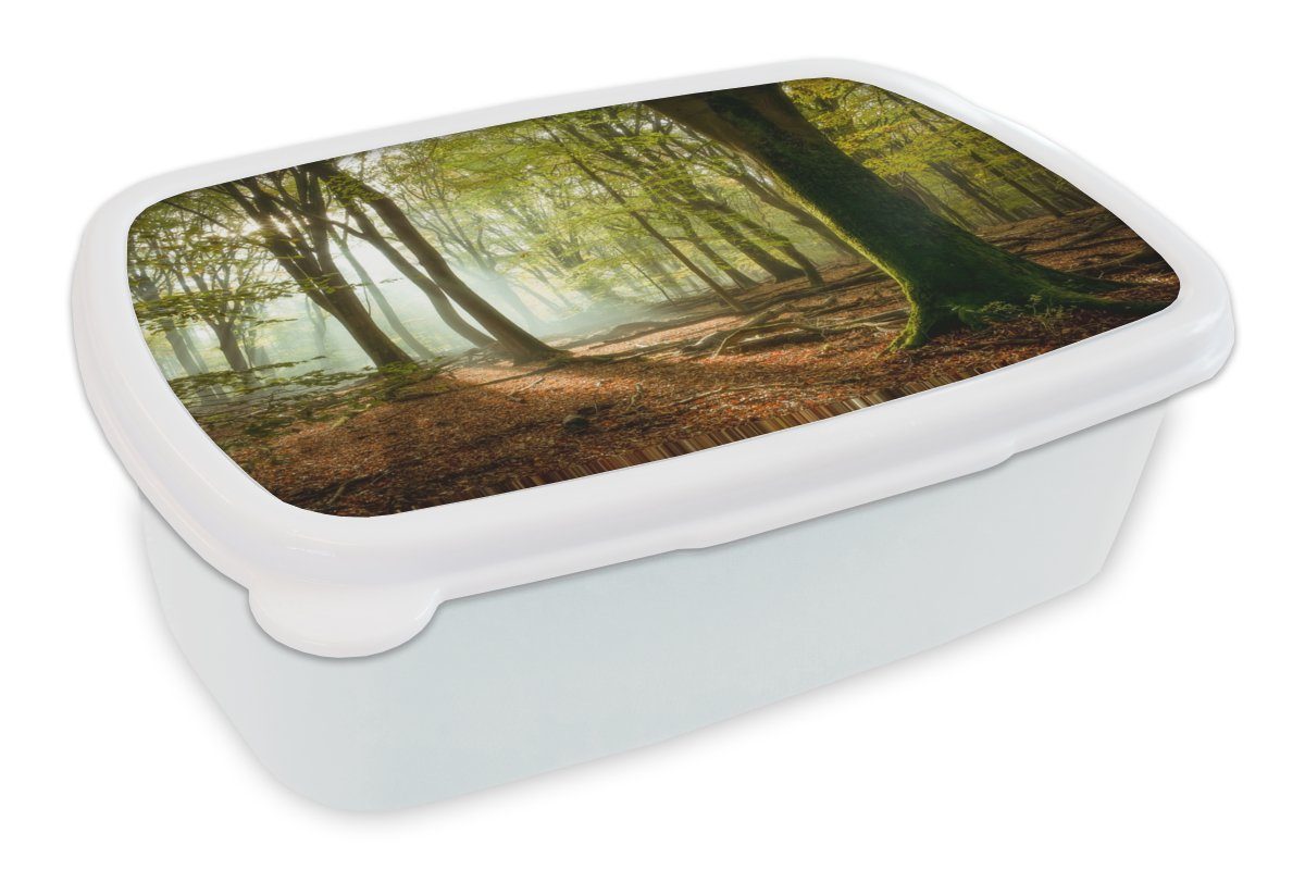 Lunchbox für für (2-tlg), Brotbox Kinder und Jungs weiß Jahreszeiten - - Brotdose, MuchoWow Wald - und Erwachsene, Sonne Mädchen Kunststoff, Landschaft,