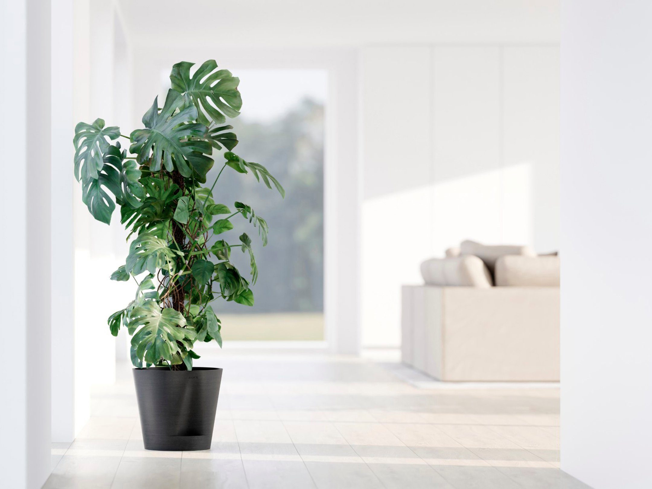 ECOPOTS Blumentopf Venice 2 30 Dunkelgrau, günstig online kaufen