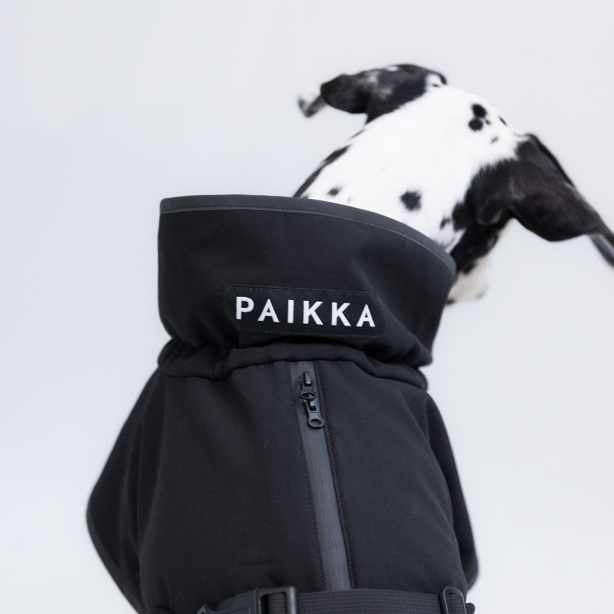PAIKKA Hundemantel Hunde Jacke wärmend "Recovery Softshell Jacket schwarz