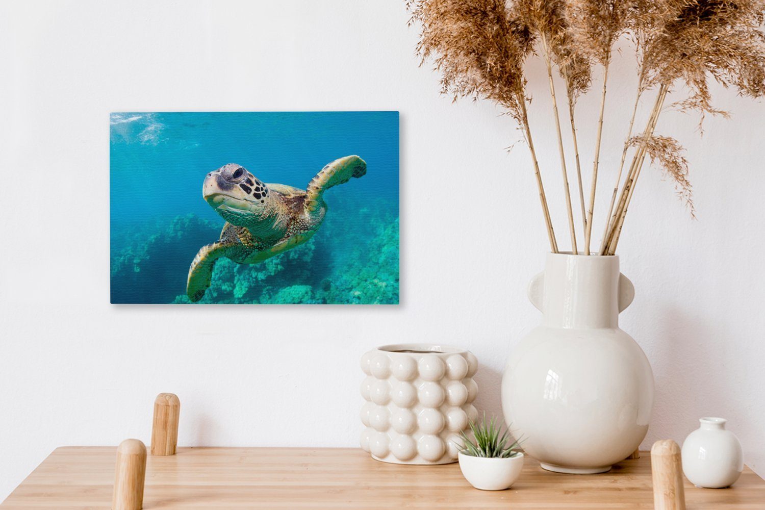 OneMillionCanvasses® Leinwandbild Eine (1 Wandbild Korallenriff Wanddeko, das Hawaii, 30x20 vor Aufhängefertig, durch Leinwandbilder, cm schwimmt Schildkröte St)