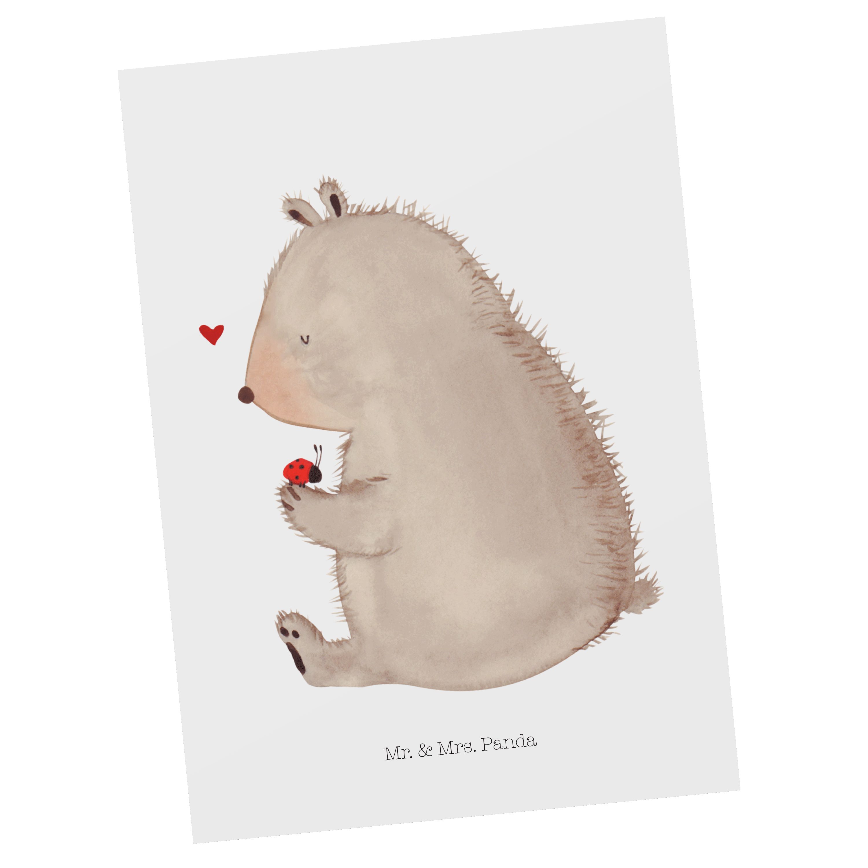 Marienkäfer - - Geschenk, & Geburtstagskarte, Mrs. Panda Mr. Postkarte mit Weiß Motivation Bär