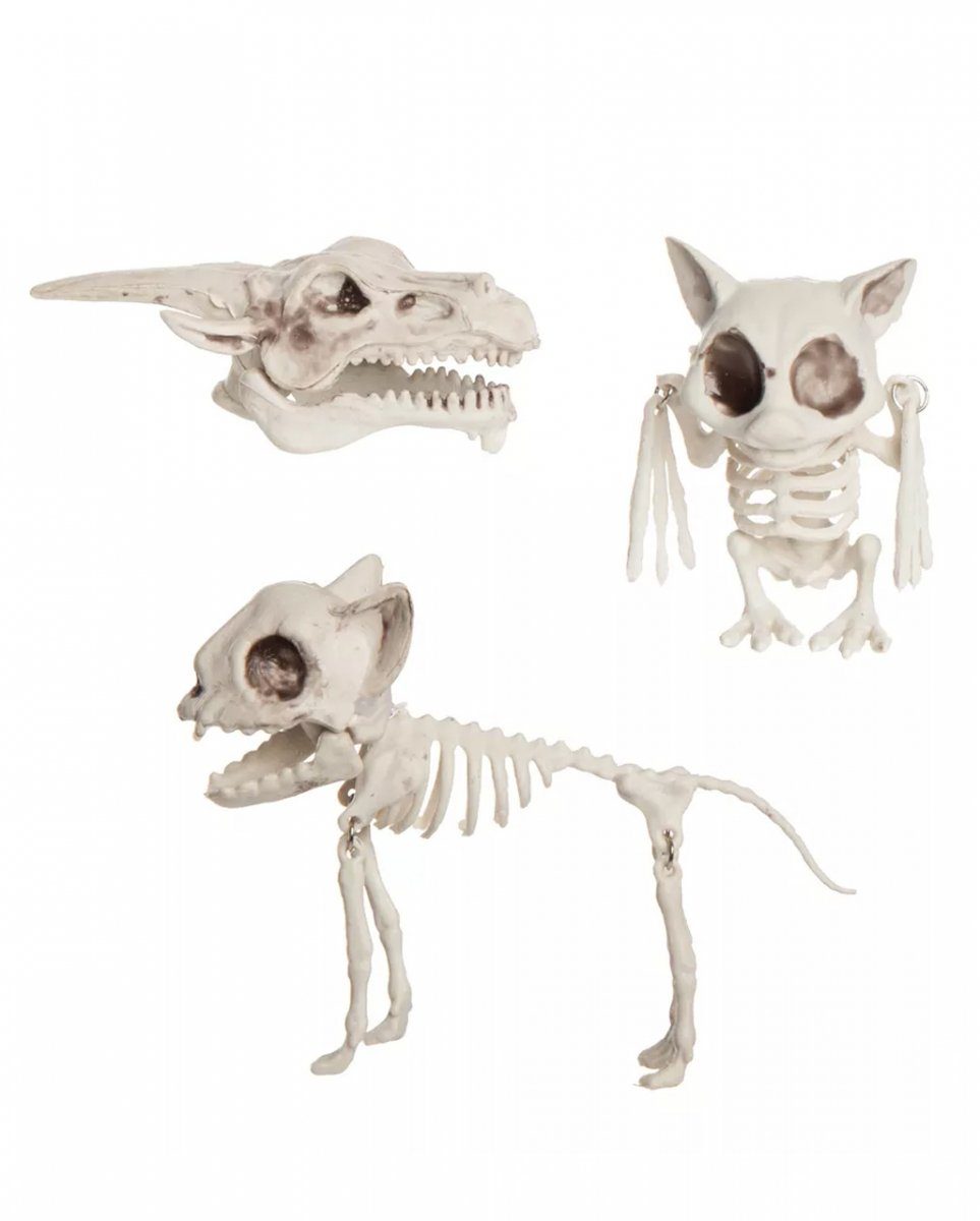 Stück als Tier Netz Horror-Shop Skelette Dekofigur Halloween 3 Dekora im