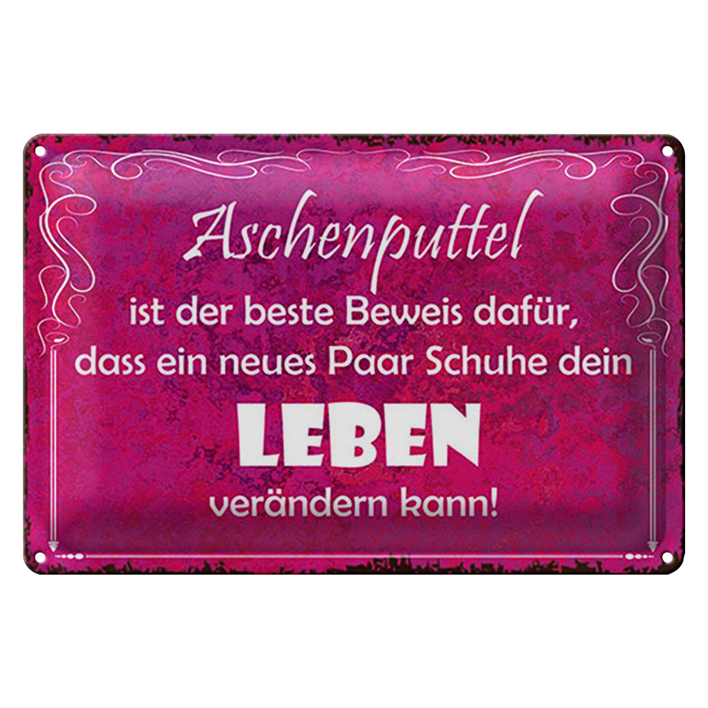 Roomando Metallschild Blechschild Spruch 30x20cm Aschenputtel Schuhe ändern Leben