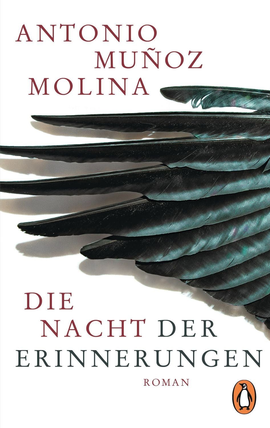 Die Nacht der Erinnerungen / Antonio Munoz Molina