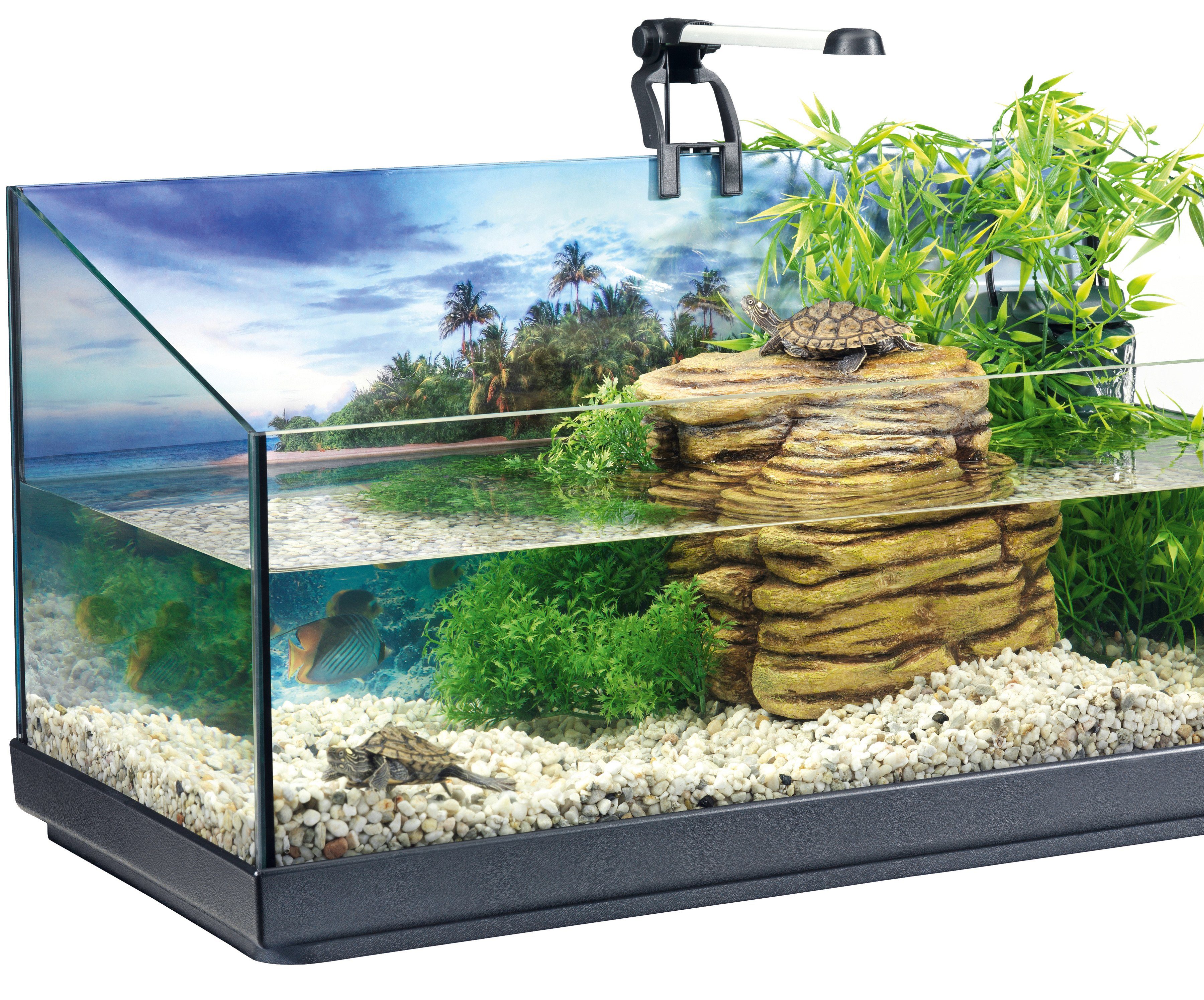 Tetra Aquarien-Set »Repto«, BxTxH: 40x39x77 cm, 40 l, für junge  Wasserschildkröten online kaufen | OTTO