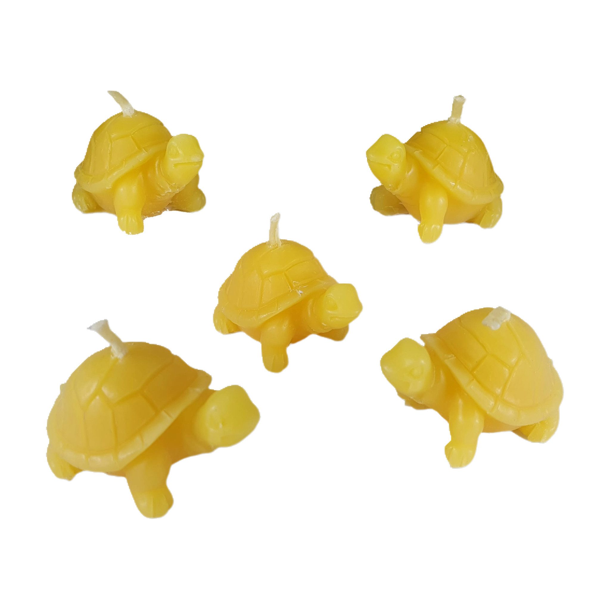 Aspinaworld Bienenwachskerze Schildkröten Kerze 5er Set 2 cm natur – fünf kleine Tiere (5-tlg)