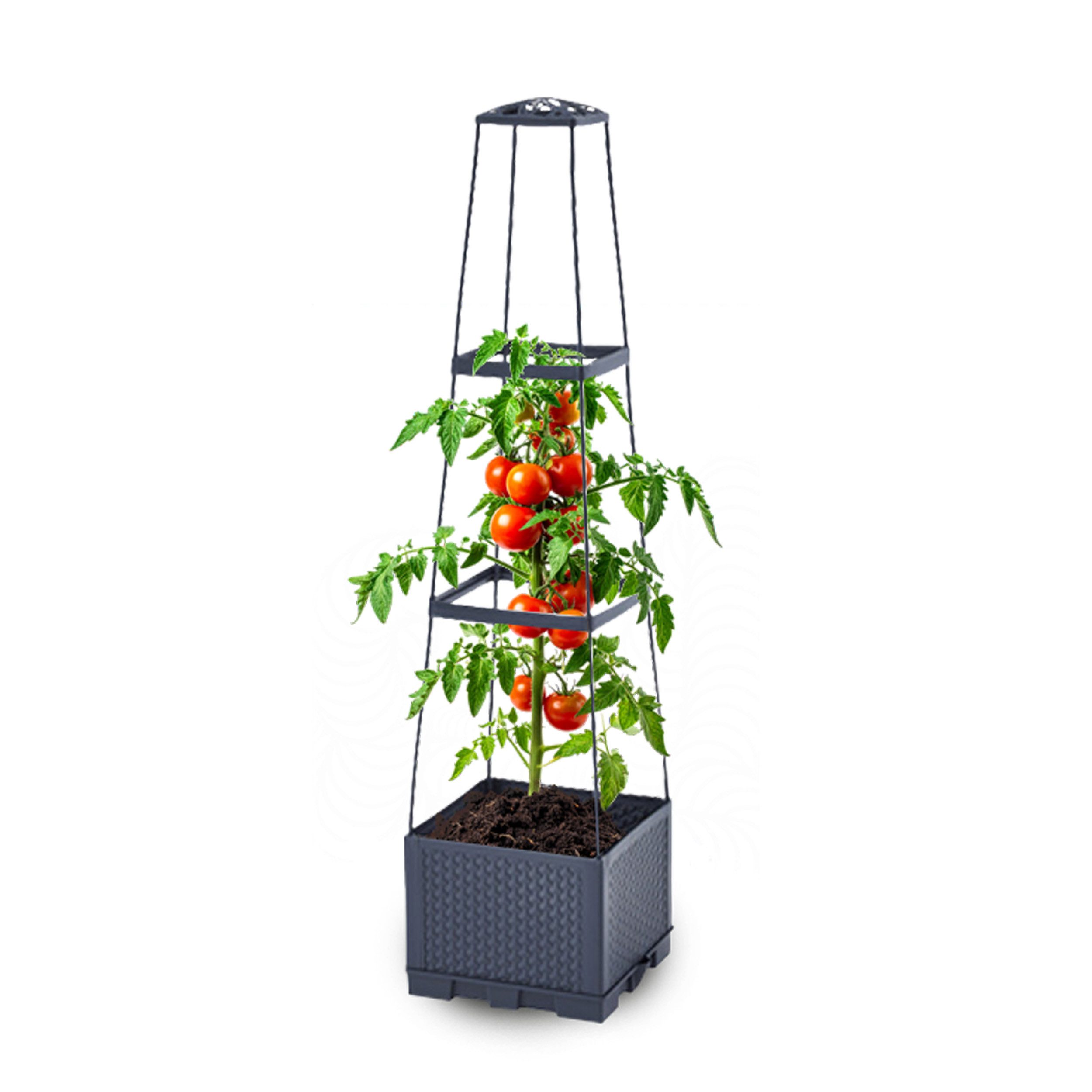 Gartenwelt Riegelsberger Blumenkasten mit Rankhilfe 3 günstig online kaufen