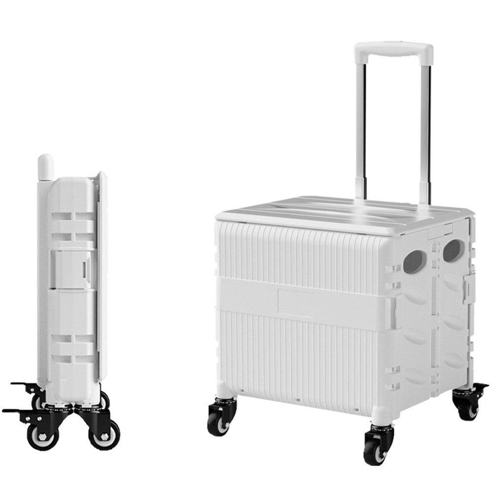 Rhein Beleuchtung Einkaufstrolley 65 L Vierrad-Einkaufswagen, transportwage günstig online kaufen