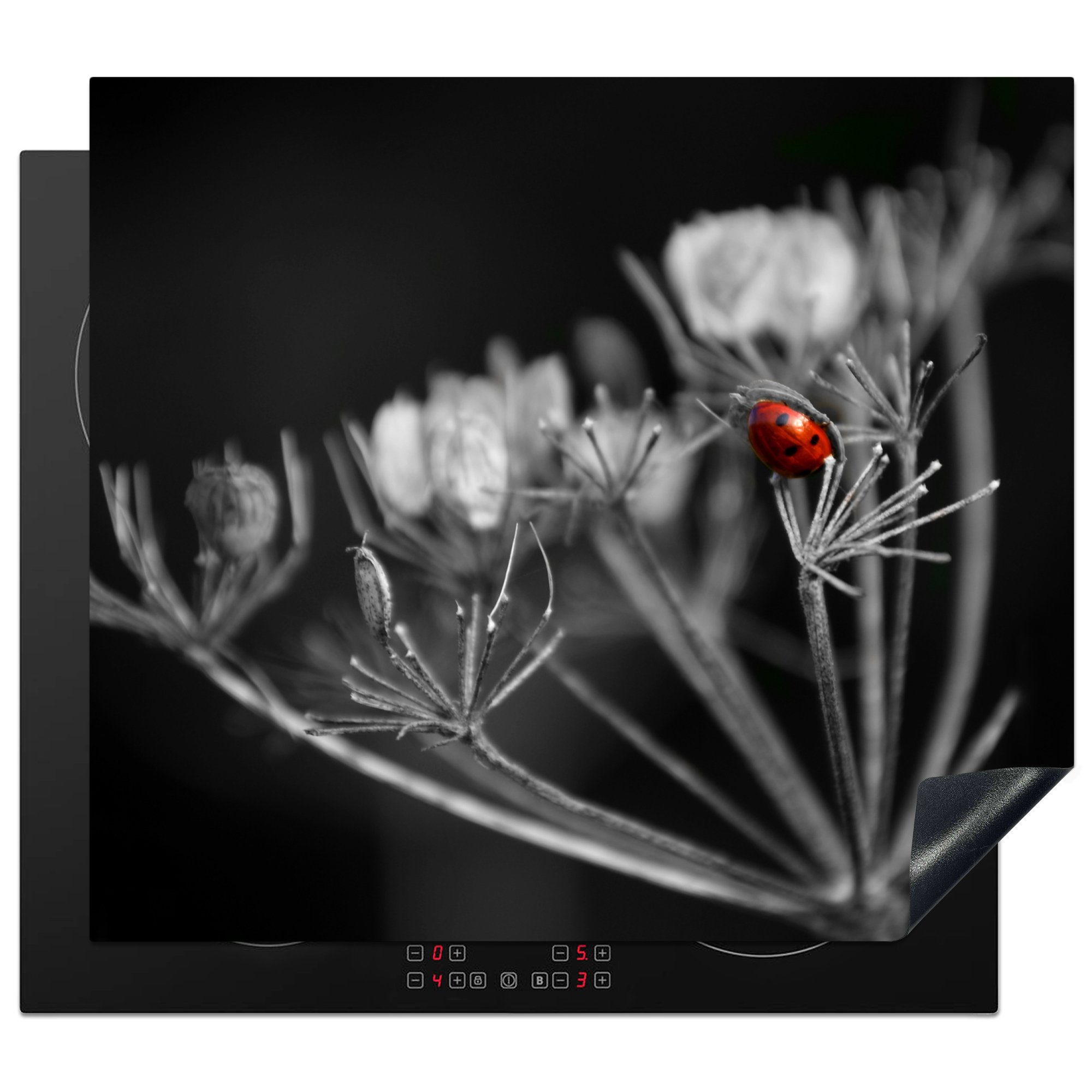 Arbeitsfläche eines Vinyl, tlg), Herdblende-/Abdeckplatte Pflanze, Schwarz-Weiß-Foto Ceranfeldabdeckung roten cm, einer MuchoWow Mobile auf nutzbar, Marienkäfers 60x52 (1