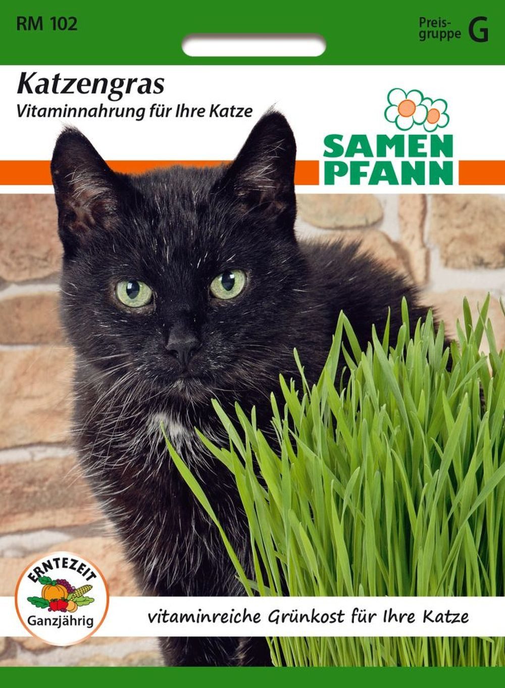 SAMEN PFANN Kräutersamen Katzengras vitaminreich, Futtergras Futterhafer Ti günstig online kaufen