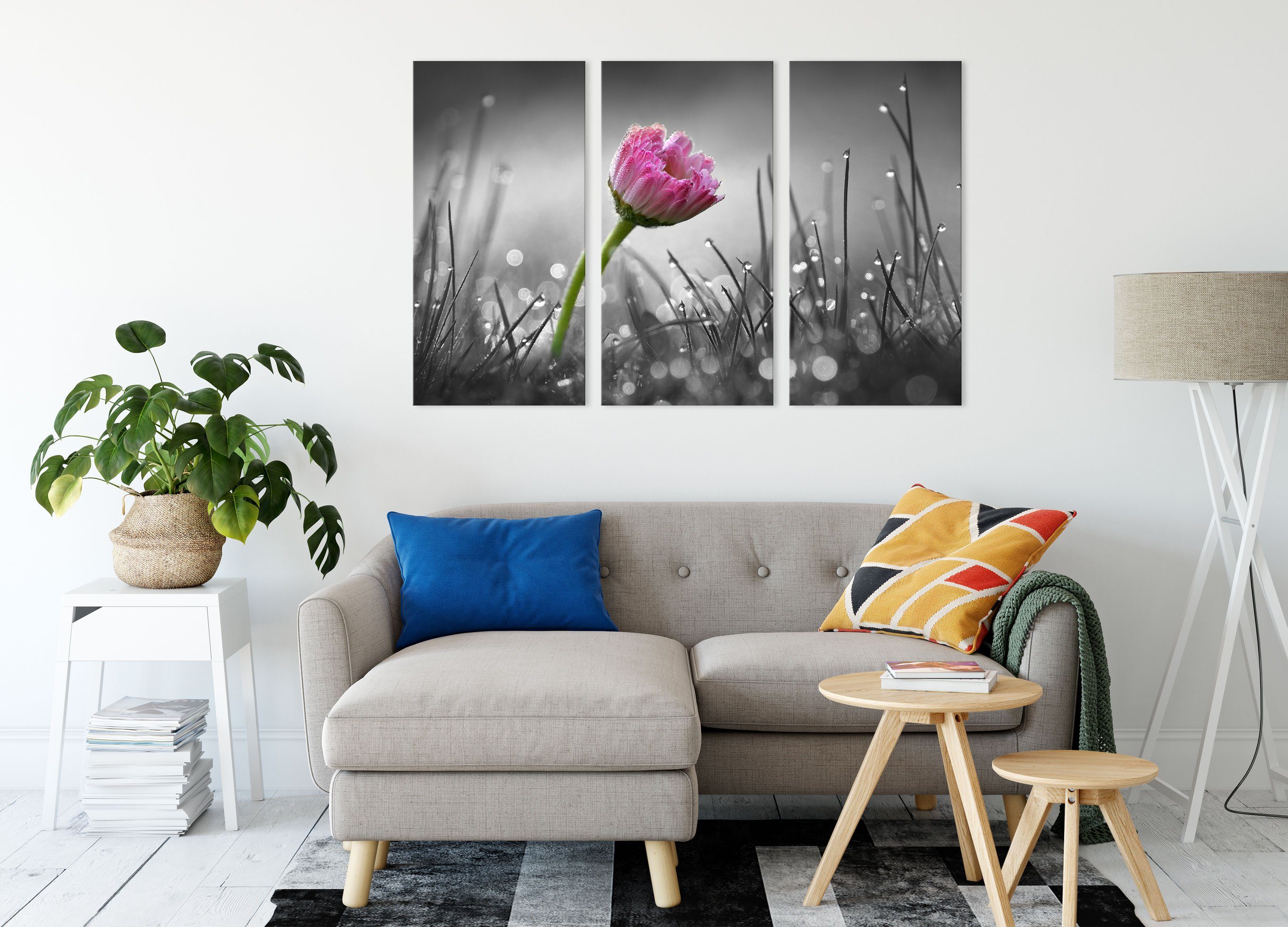 Pixxprint Leinwandbild im rosa (120x80cm) rosa Gänseblümchen (1 bespannt, Gras inkl. Gras, Gänseblümchen St), 3Teiler Leinwandbild Zackenaufhänger im fertig