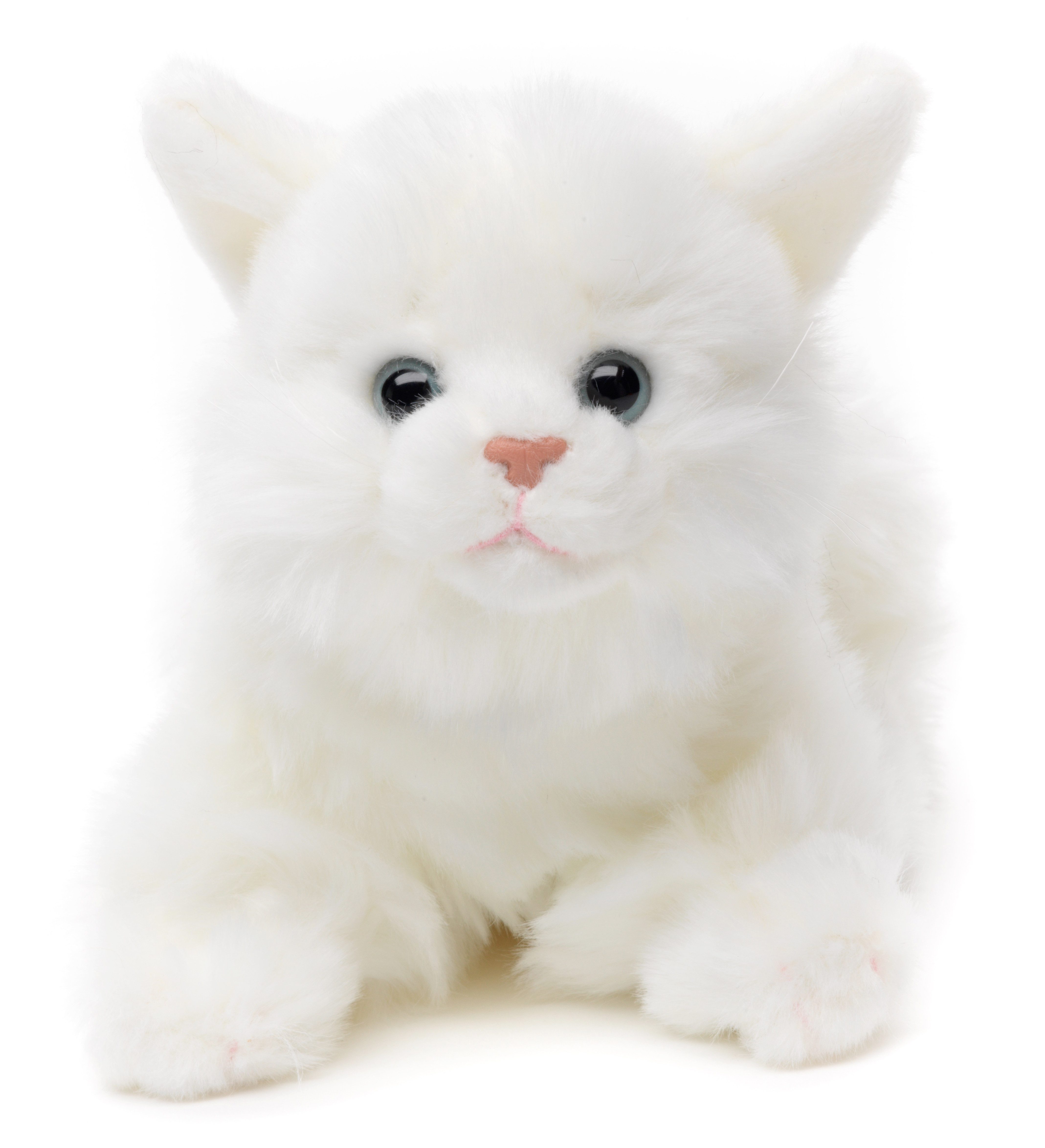 Uni-Toys Kuscheltier Katze, liegend - versch. Fellfarben - Länge 20 cm - Pl günstig online kaufen