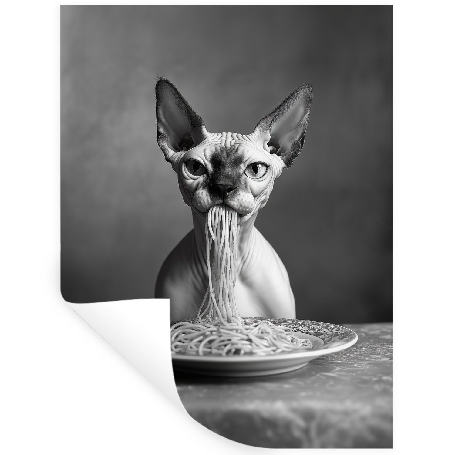 MuchoWow Wandsticker Sphynx - Katze - Tiere - Humor - Spaghetti - Schwarz und Weiß (1 St), Wanddeko, Aufkleber, Wandtattoo, 90x120 cm