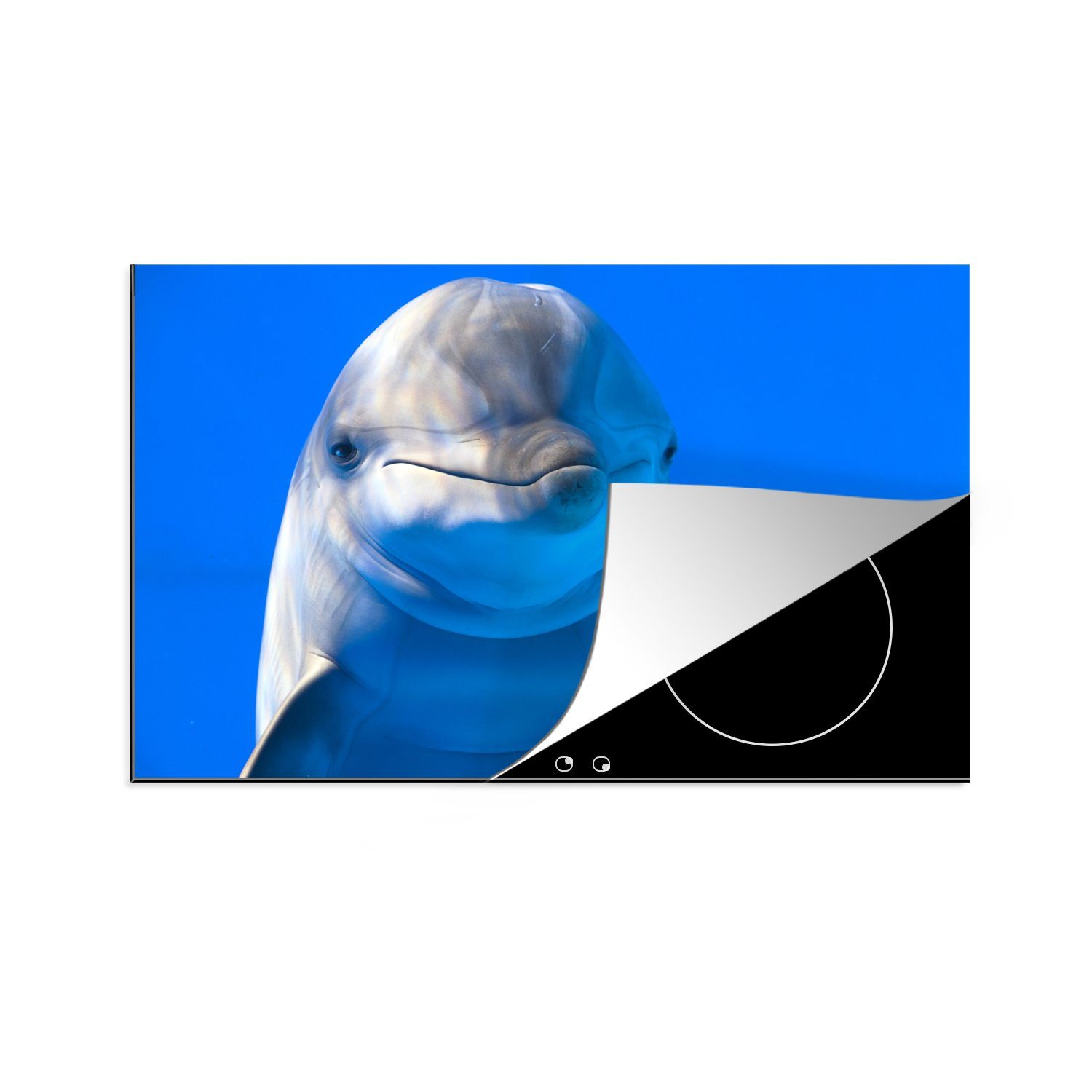 MuchoWow Herdblende-/Abdeckplatte Delfin in einem Aquarium, Vinyl, (1 tlg), 81x52 cm, Induktionskochfeld Schutz für die küche, Ceranfeldabdeckung