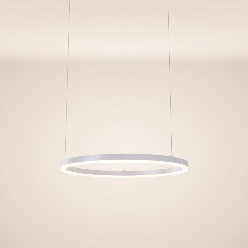 s.luce Pendelleuchte LED Hängeleuchte Ring 60 5m Abhängung Weiß, Warmweiß