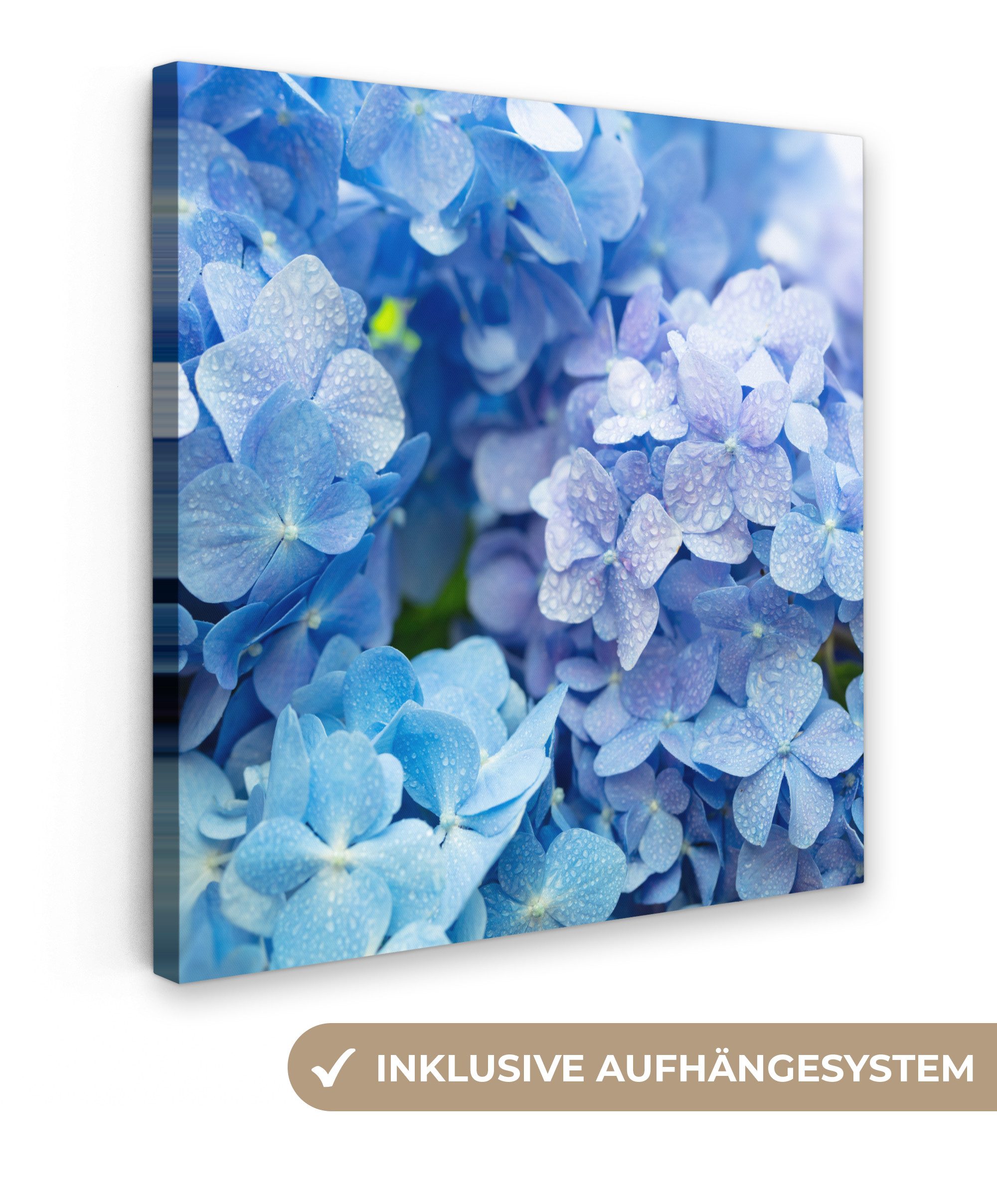OneMillionCanvasses® Leinwandbild Hortensie - Wassertropfen - Floral - Botanisch - Blau, Fotodruck (1 St), Wandbild, Deko Schlafzimmer Wohnzimmer Flur 20x20 cm