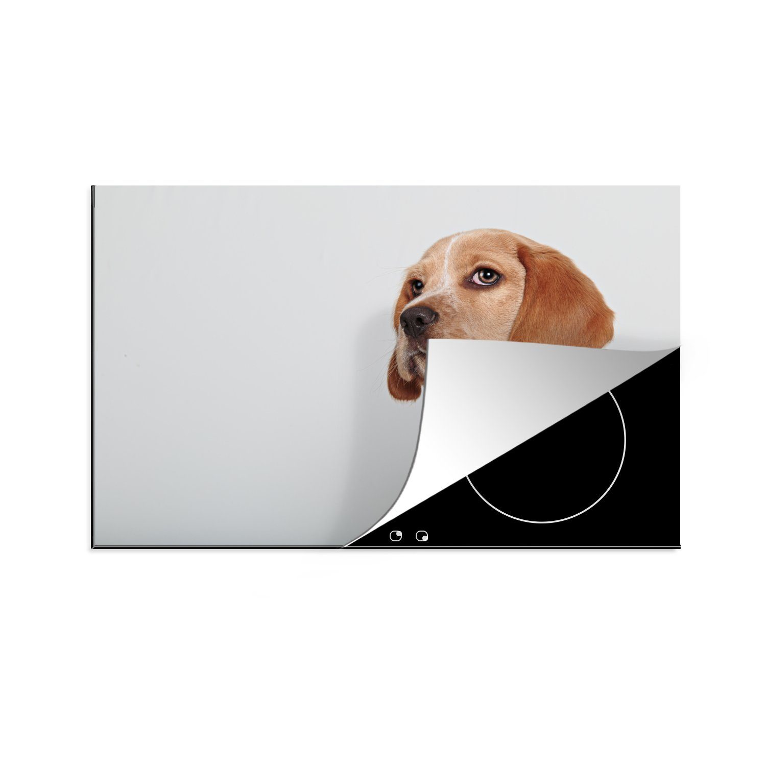 Beagle-Welpe Schutz die Kamera schaut Induktionskochfeld küche, von tlg), Herdblende-/Abdeckplatte MuchoWow Ceranfeldabdeckung für 81x52 cm, (1 weg, Vinyl, der