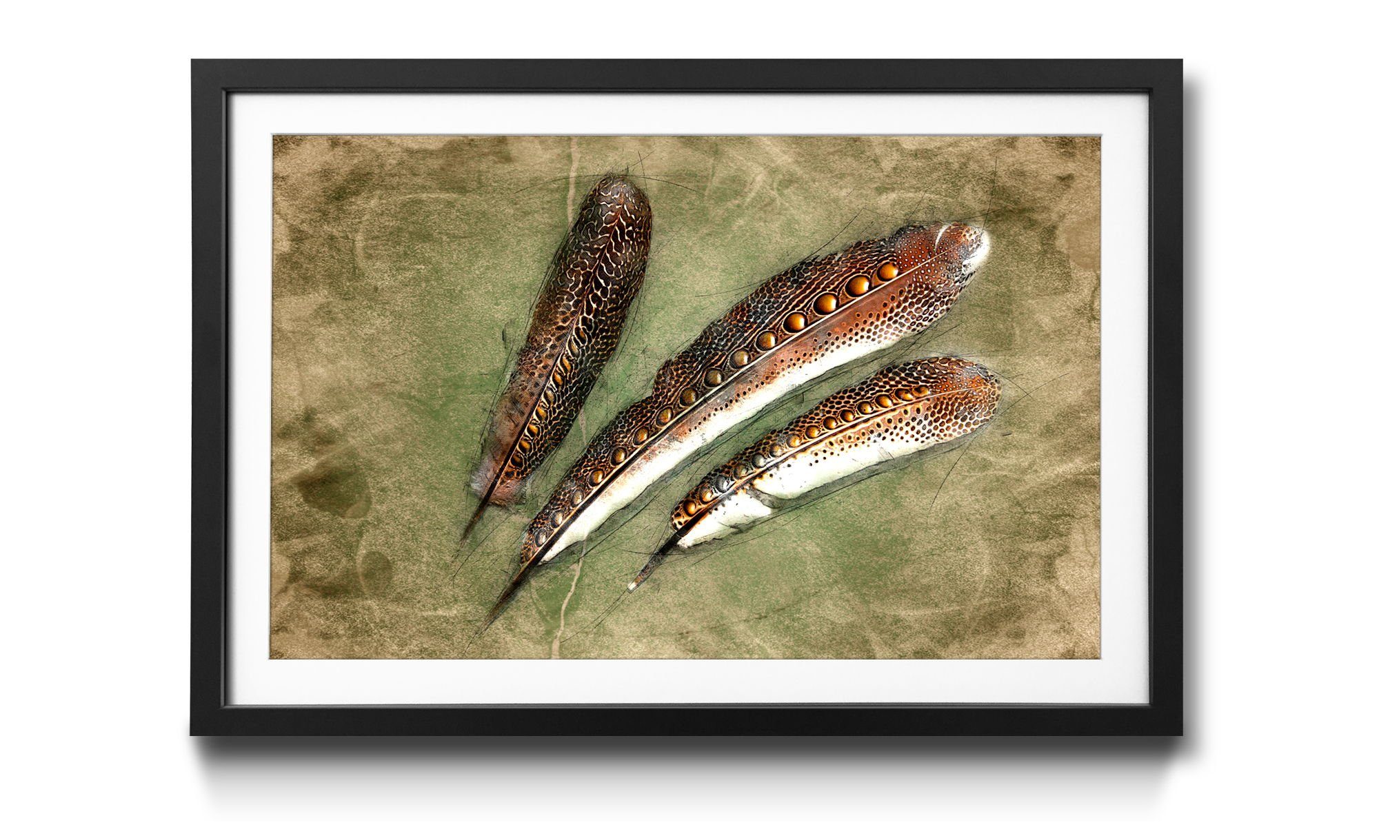 WandbilderXXL Bild mit Rahmen Feather Of Pheasan, Vogelfedern, Wandbild, in 4 Größen erhältlich