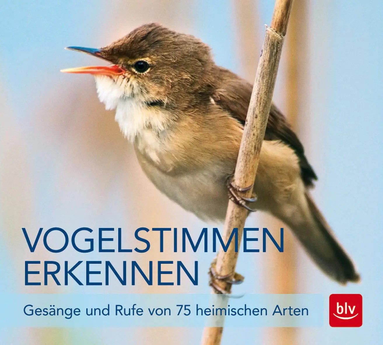 Hörspiel Vogelstimmen erkennen / CD