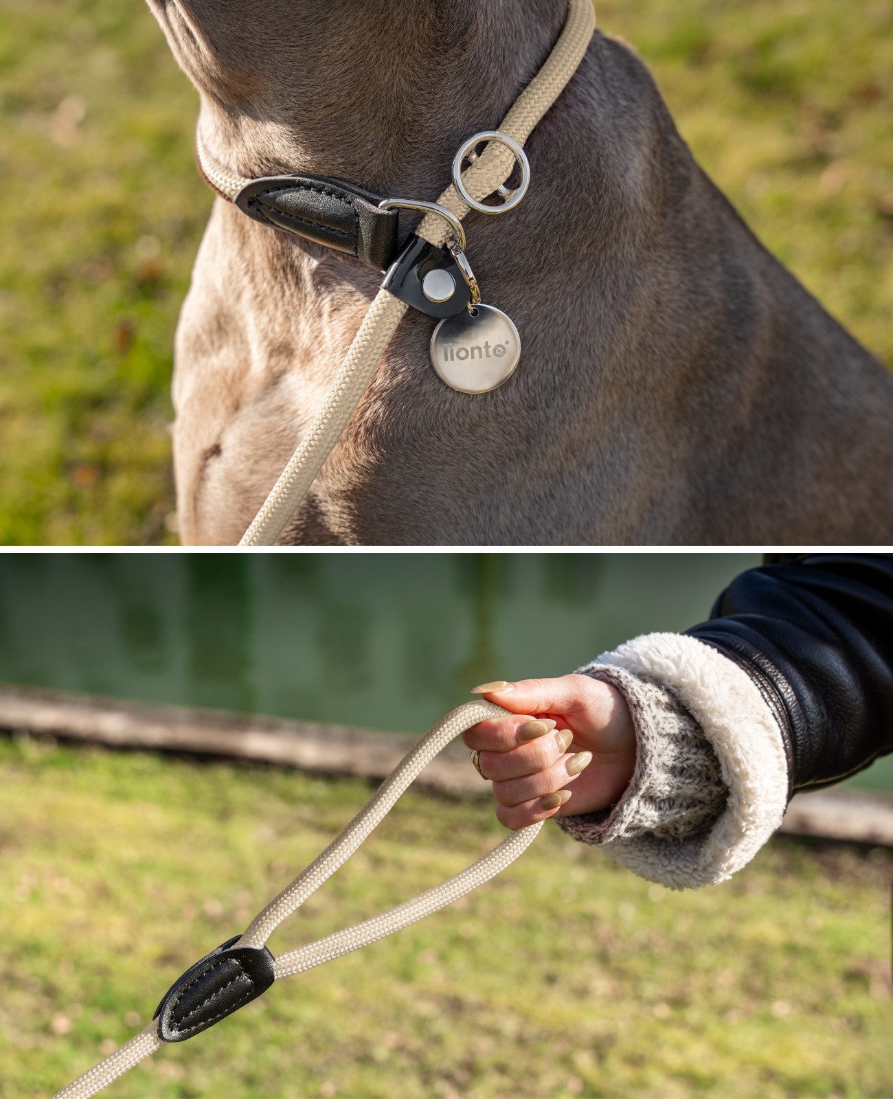 lionto Moxonleine mit Zugbegrenzung & Stopper 120 cm, Nylon, Lederimitat (1-tlg), Retrieverleine, sicher, stylisch & vegan